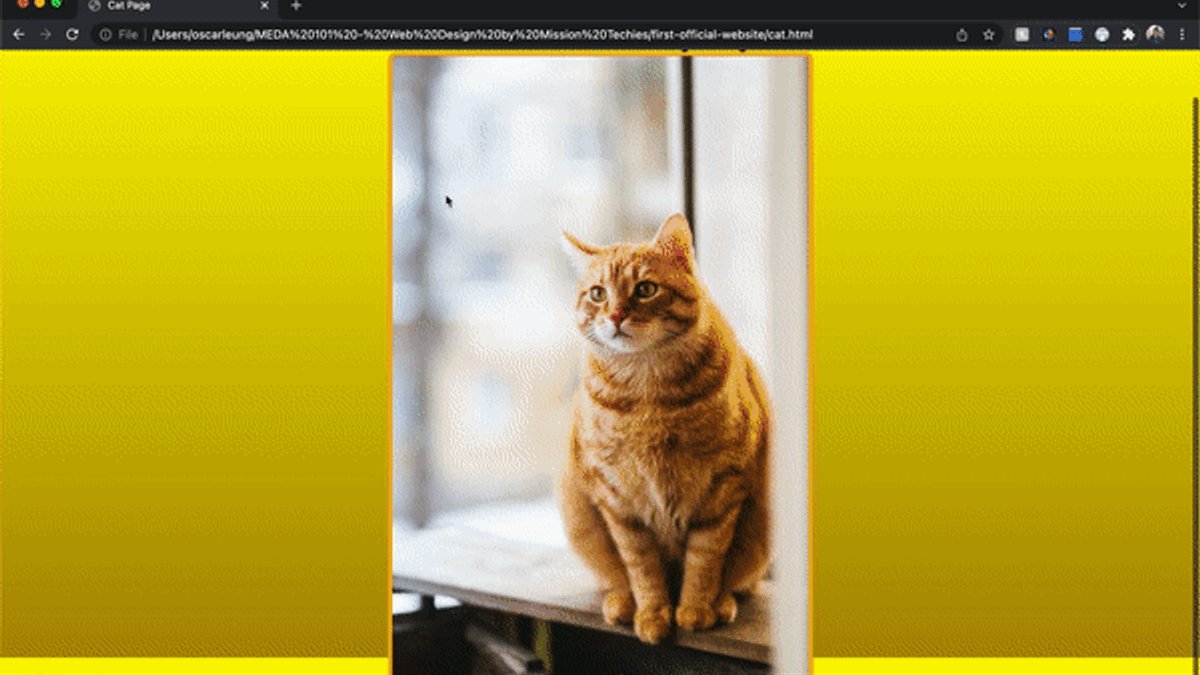 First Official Website