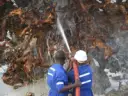 The Ghost Forest being cleaned in Ghana ready for transportation