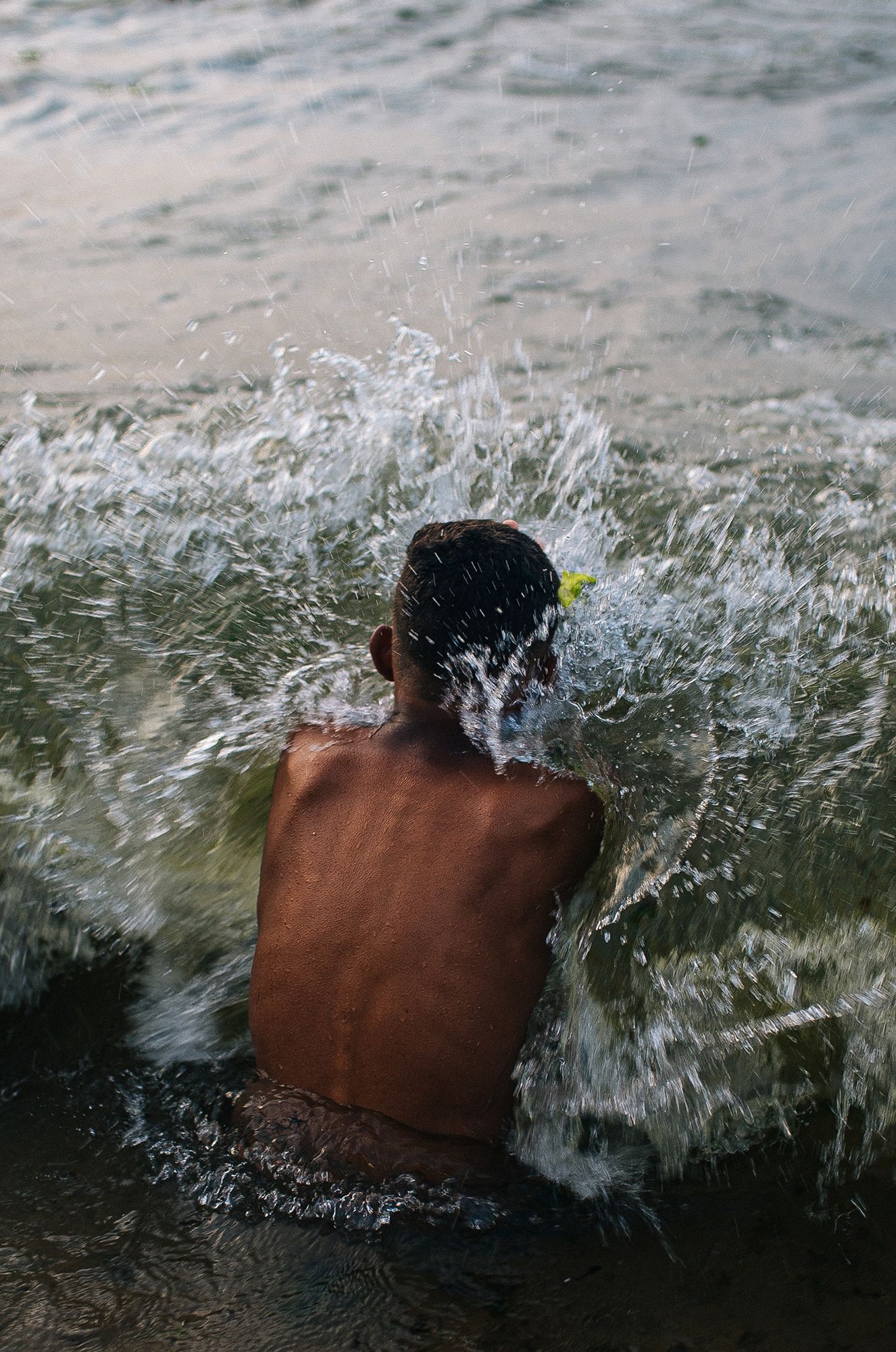 A vida acha um meio.
