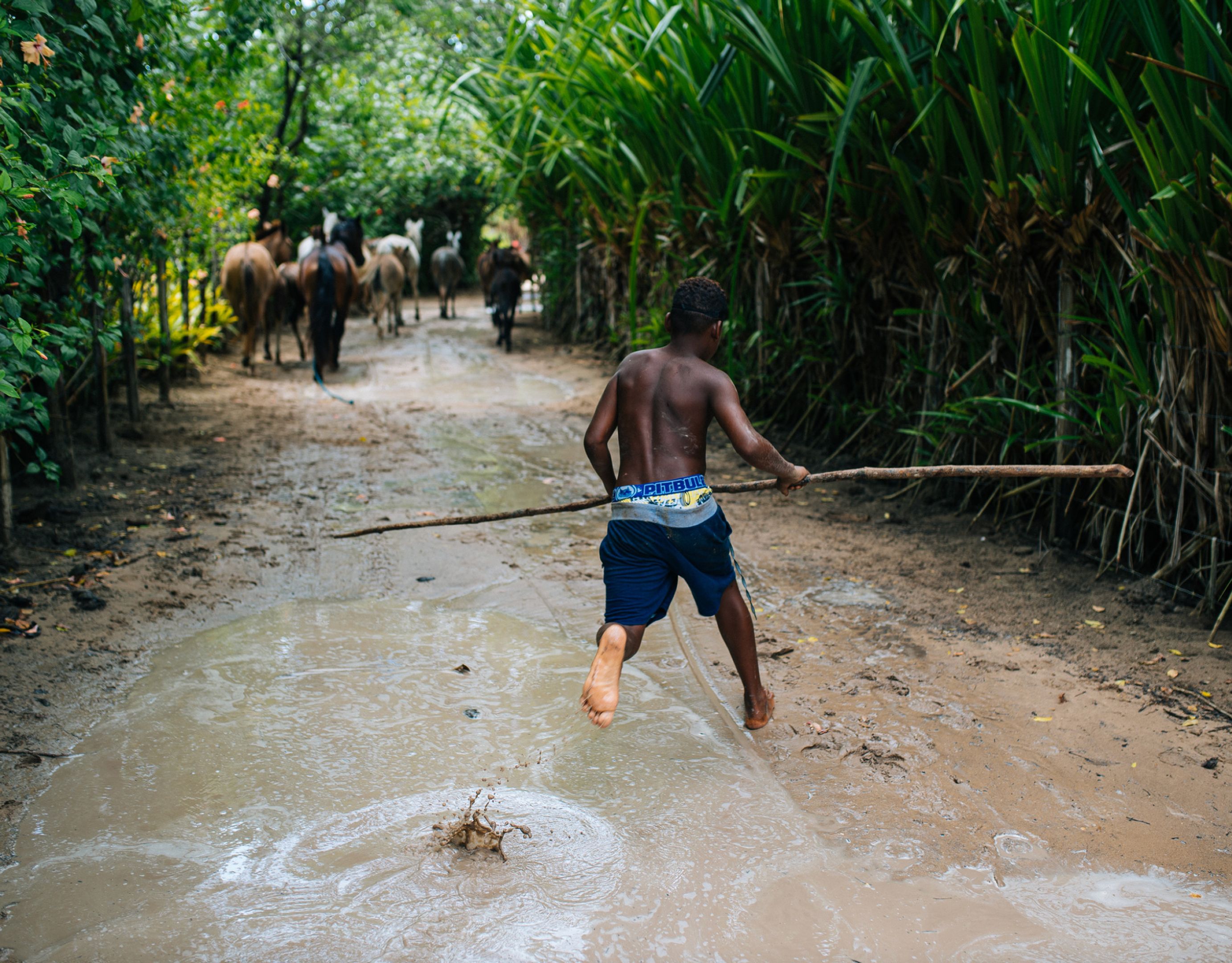 Photo Caption 2, 2022