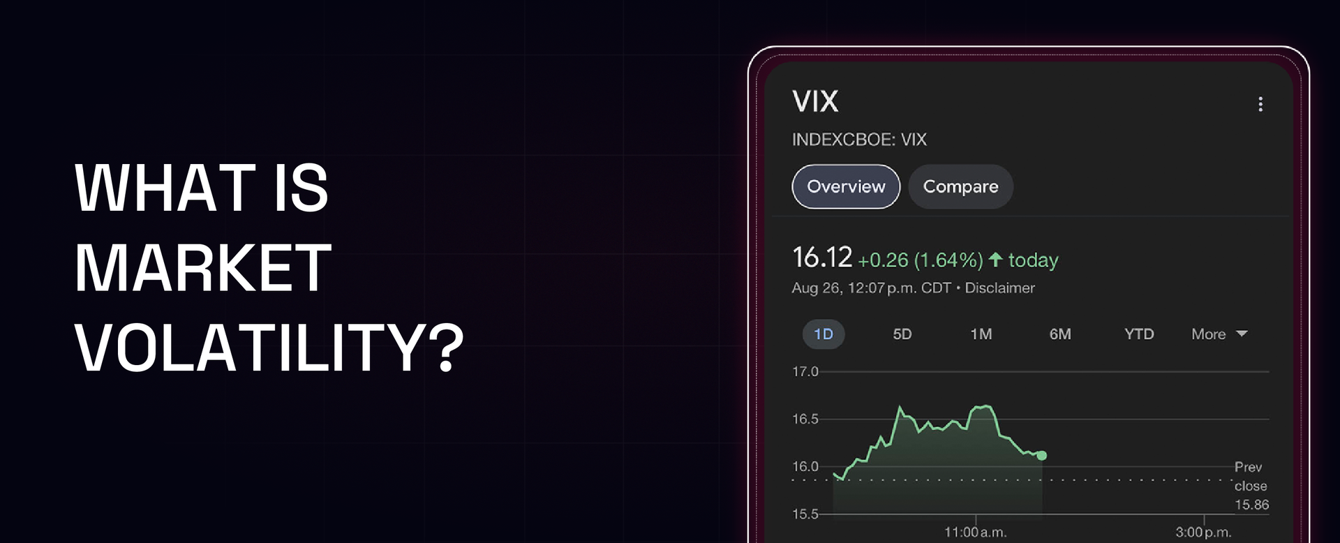 What is market volatility