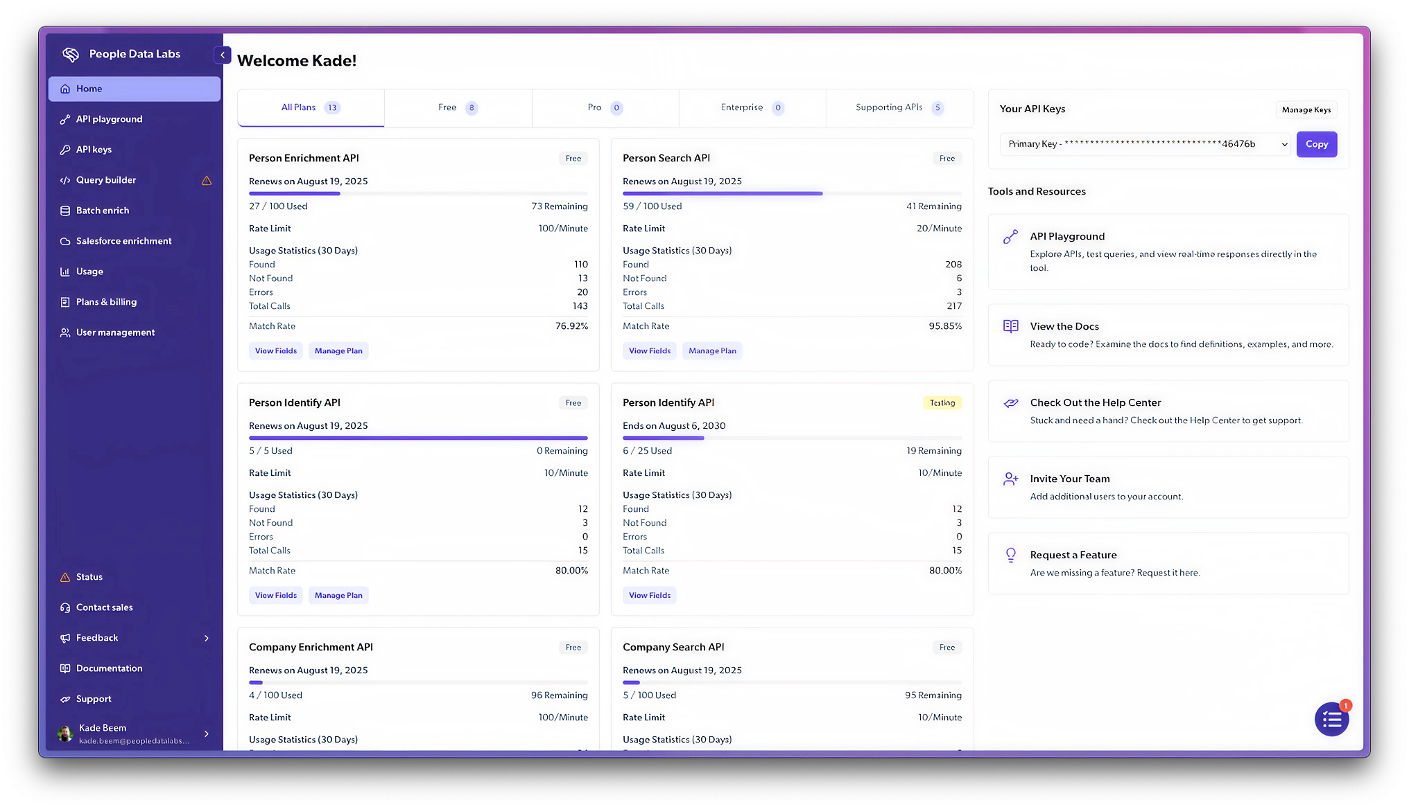 API dashboard screenshot home page