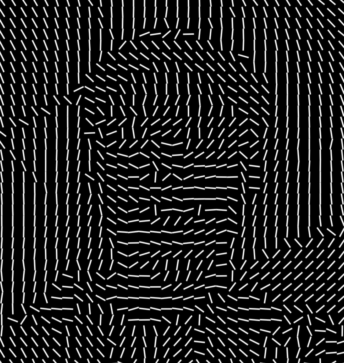 Line mirror using p5js