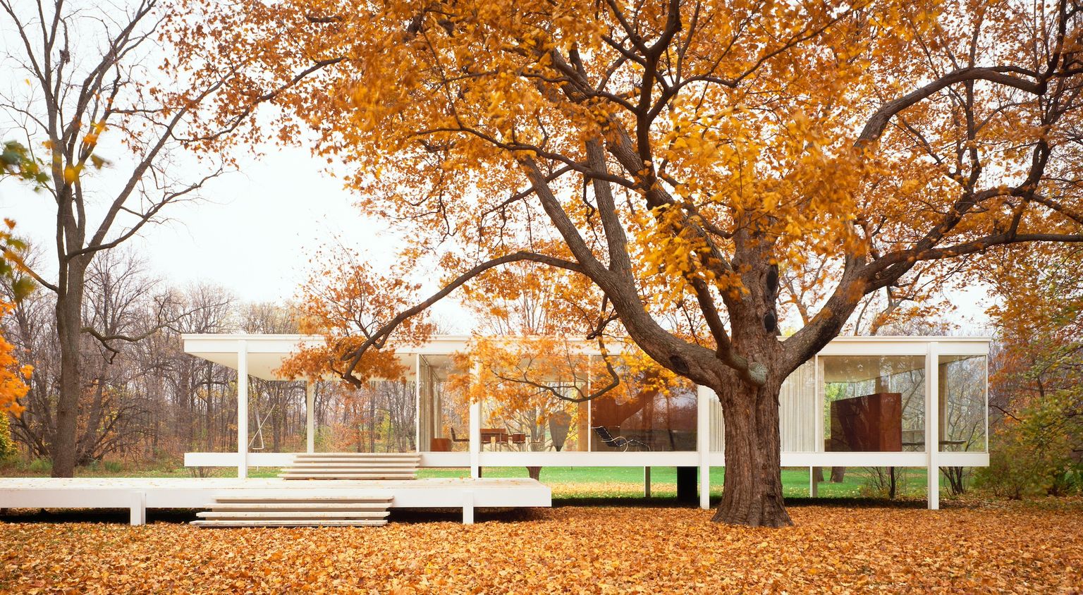 The Edith Michelangelo Sabatino on the Edith Farnsworth House - Design Miami ...