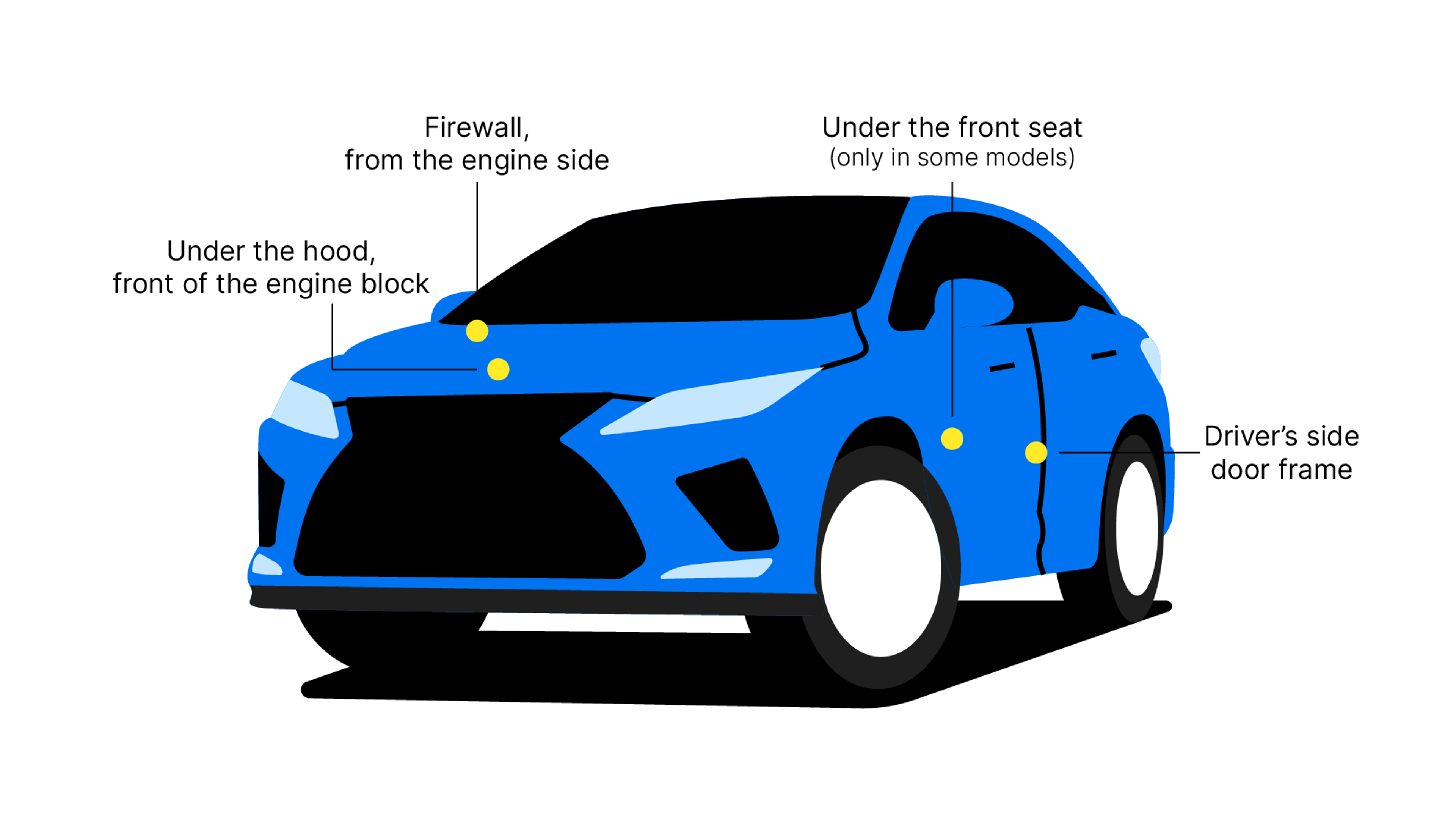 Lexus VIN number location on a car