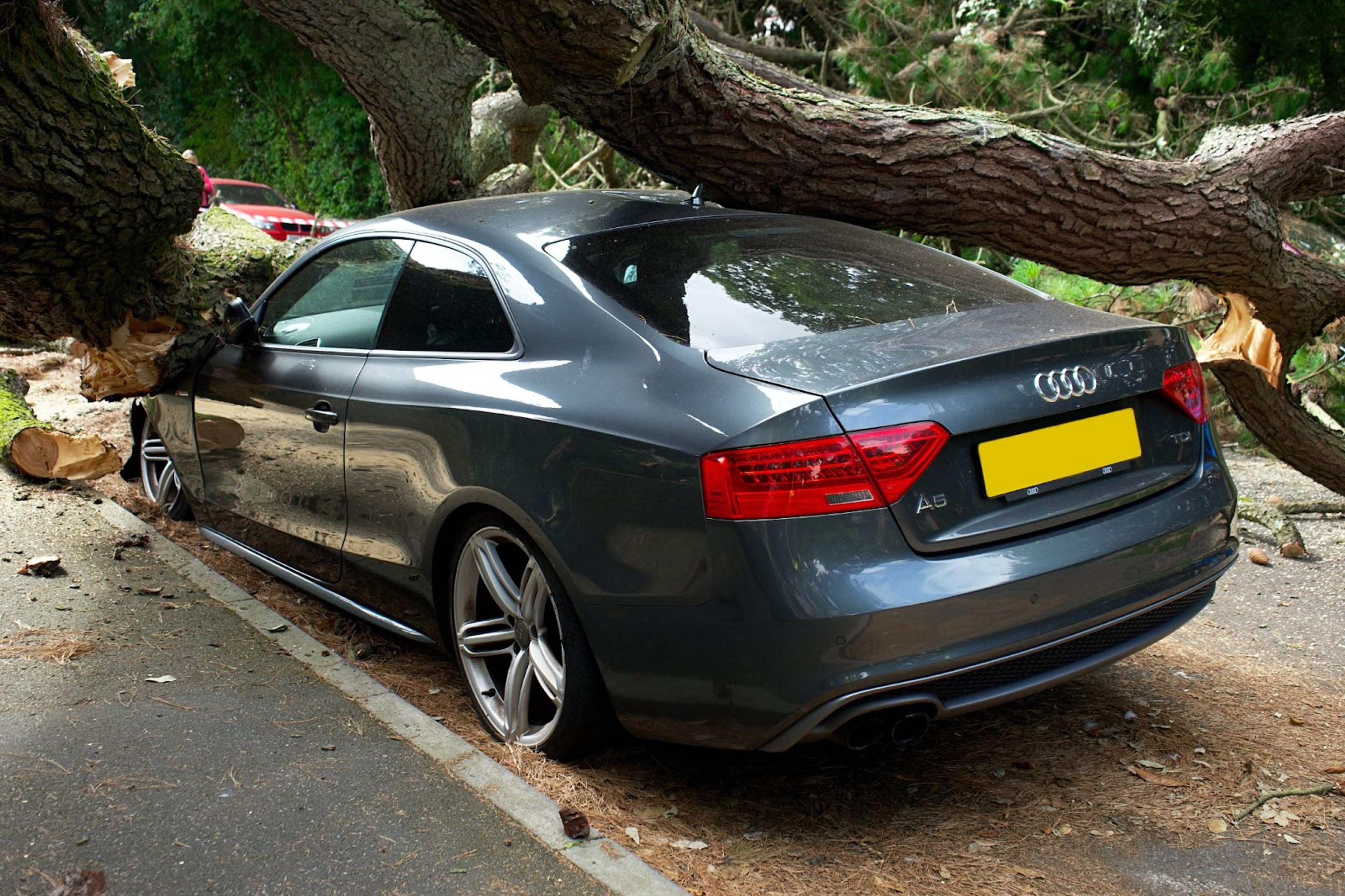 Audi coupe car crashed into a tree in the result of natural disaster