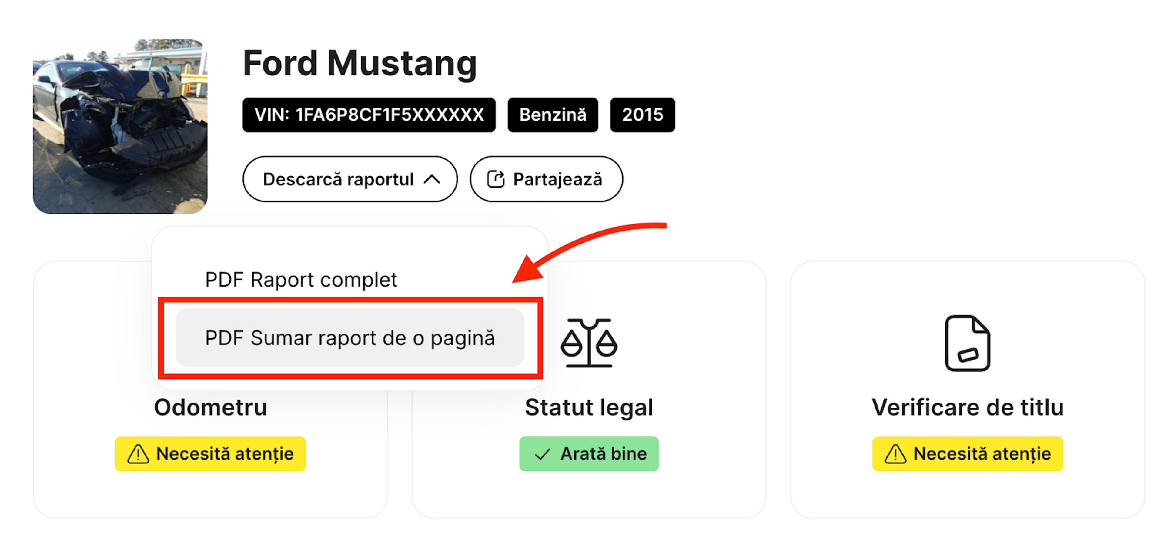 Cum să descarci în format PDF rezumatul unui raport carVertical 