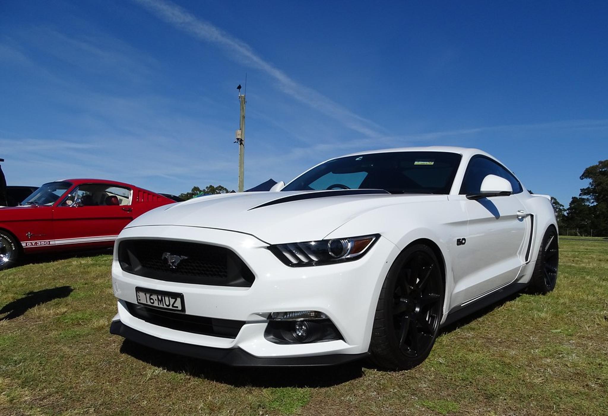 White Ford Mustang V8 5.0