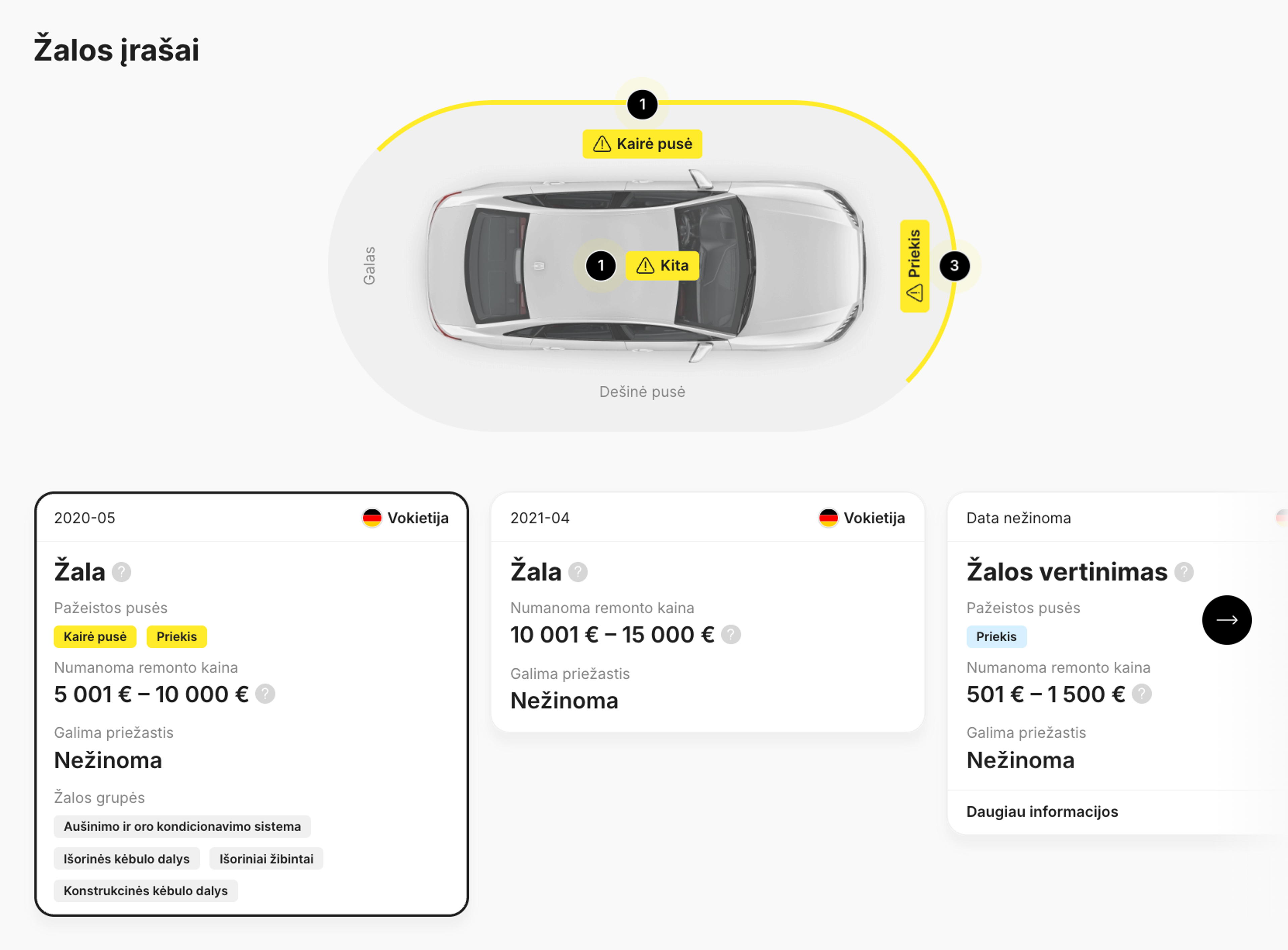 automobilio žalos įrašų ataskaita
