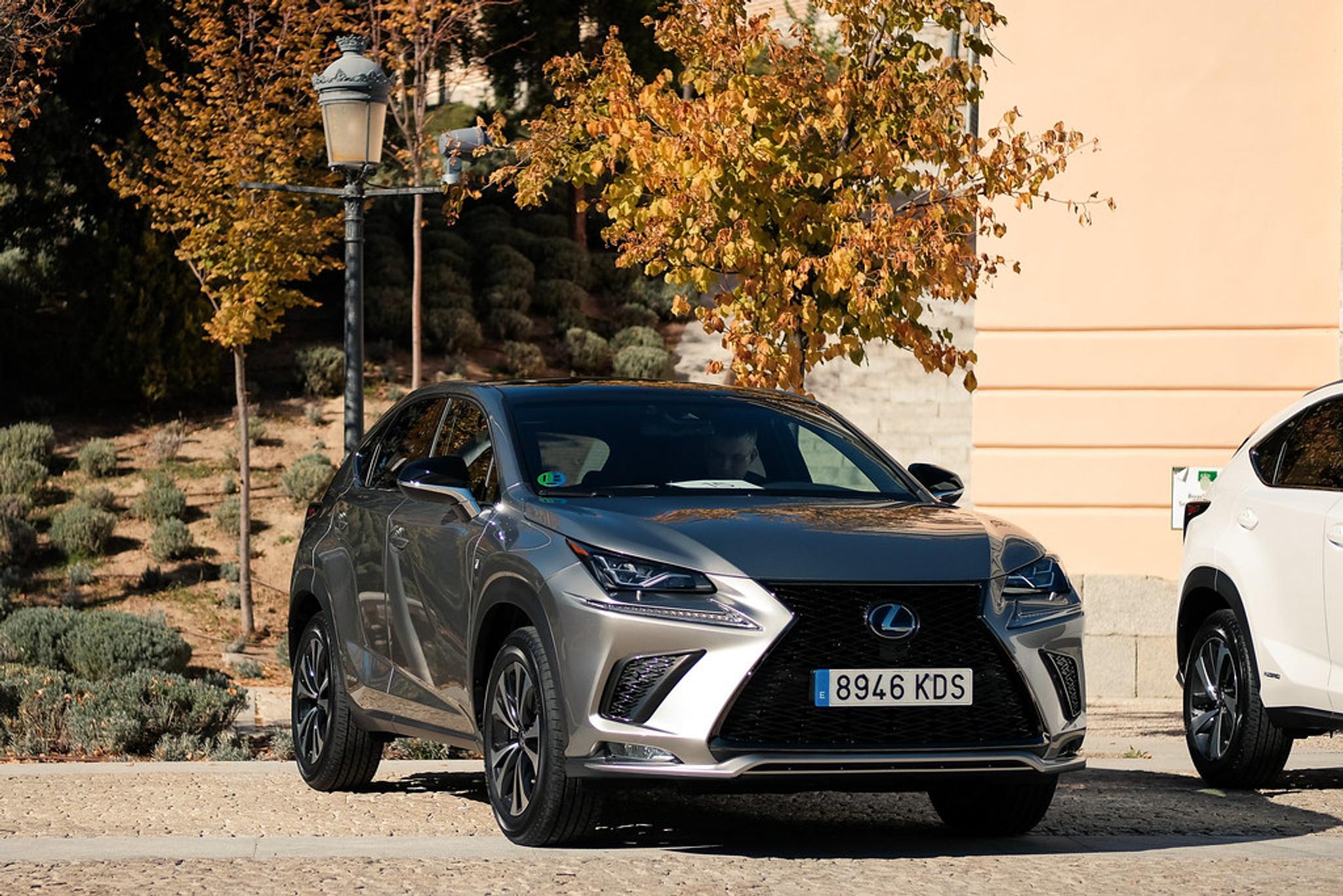 Grey Lexus NX