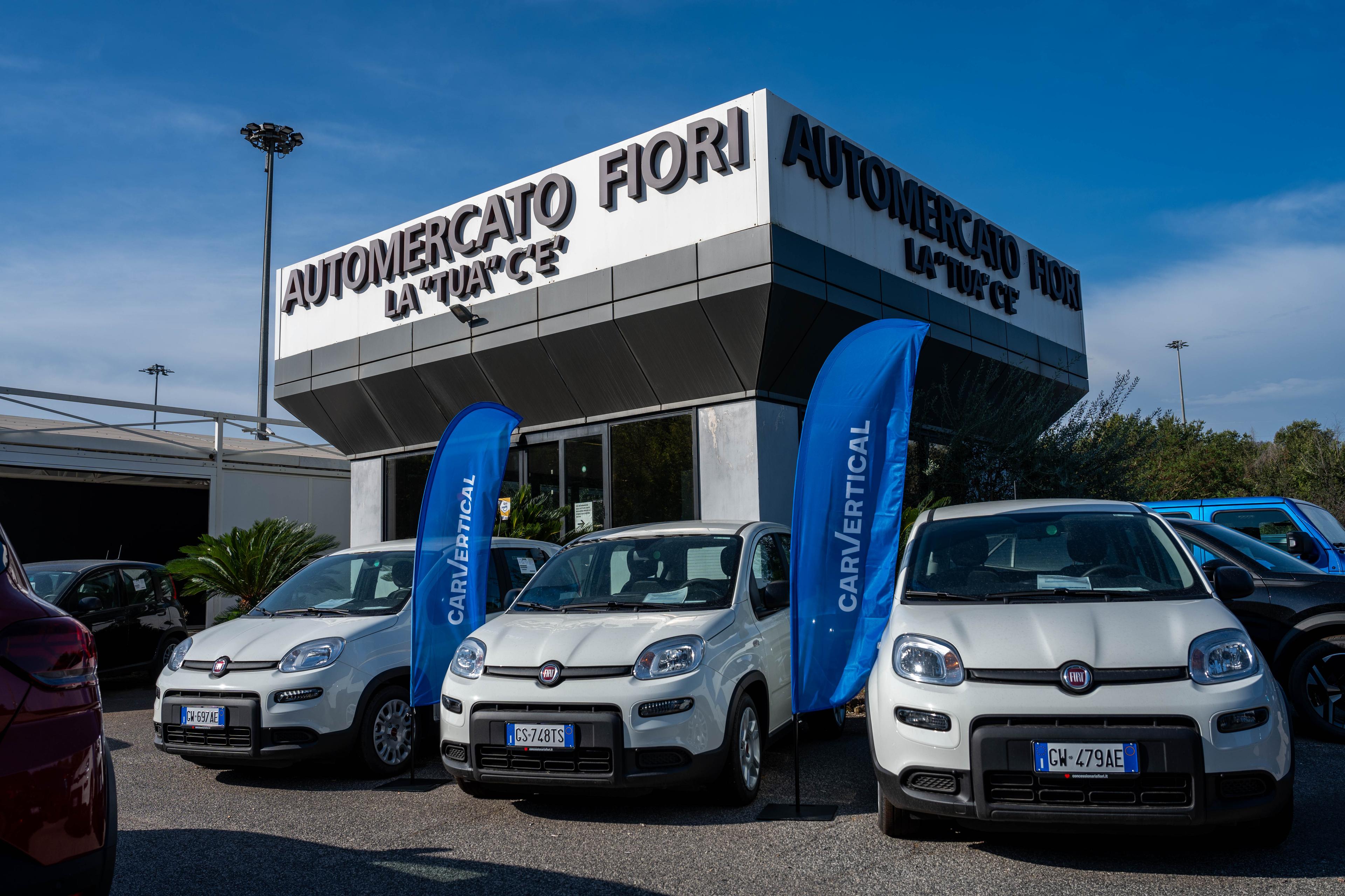 Automercato fiori cars