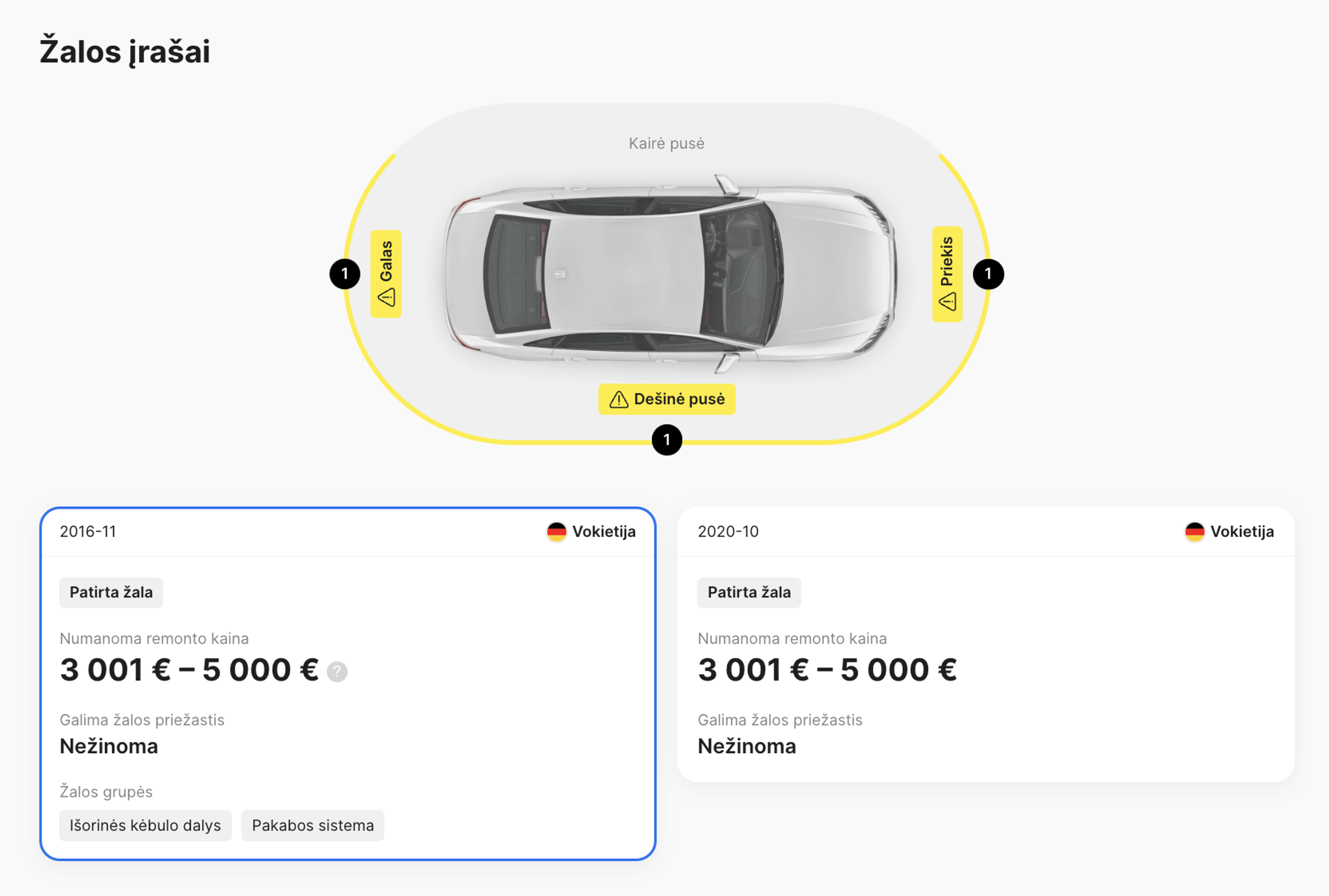 Patirtos žalos skiltis