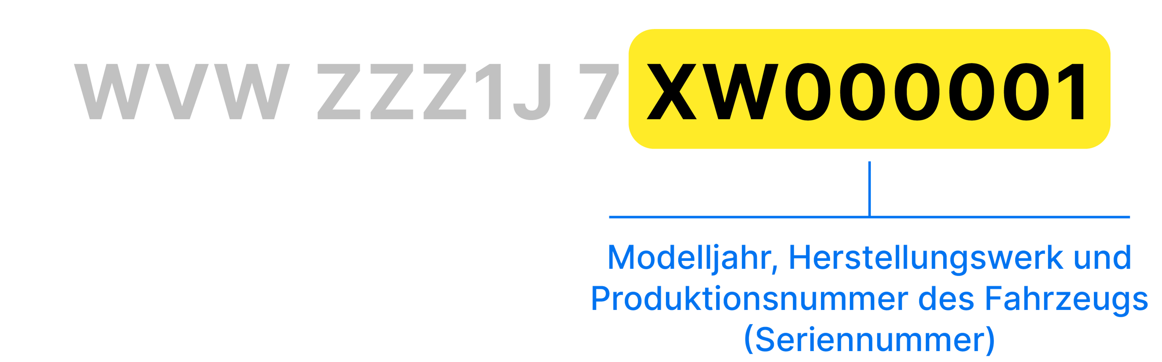 VIS-Bereich der FIN: Modelljahr, Werk und Seriennummer