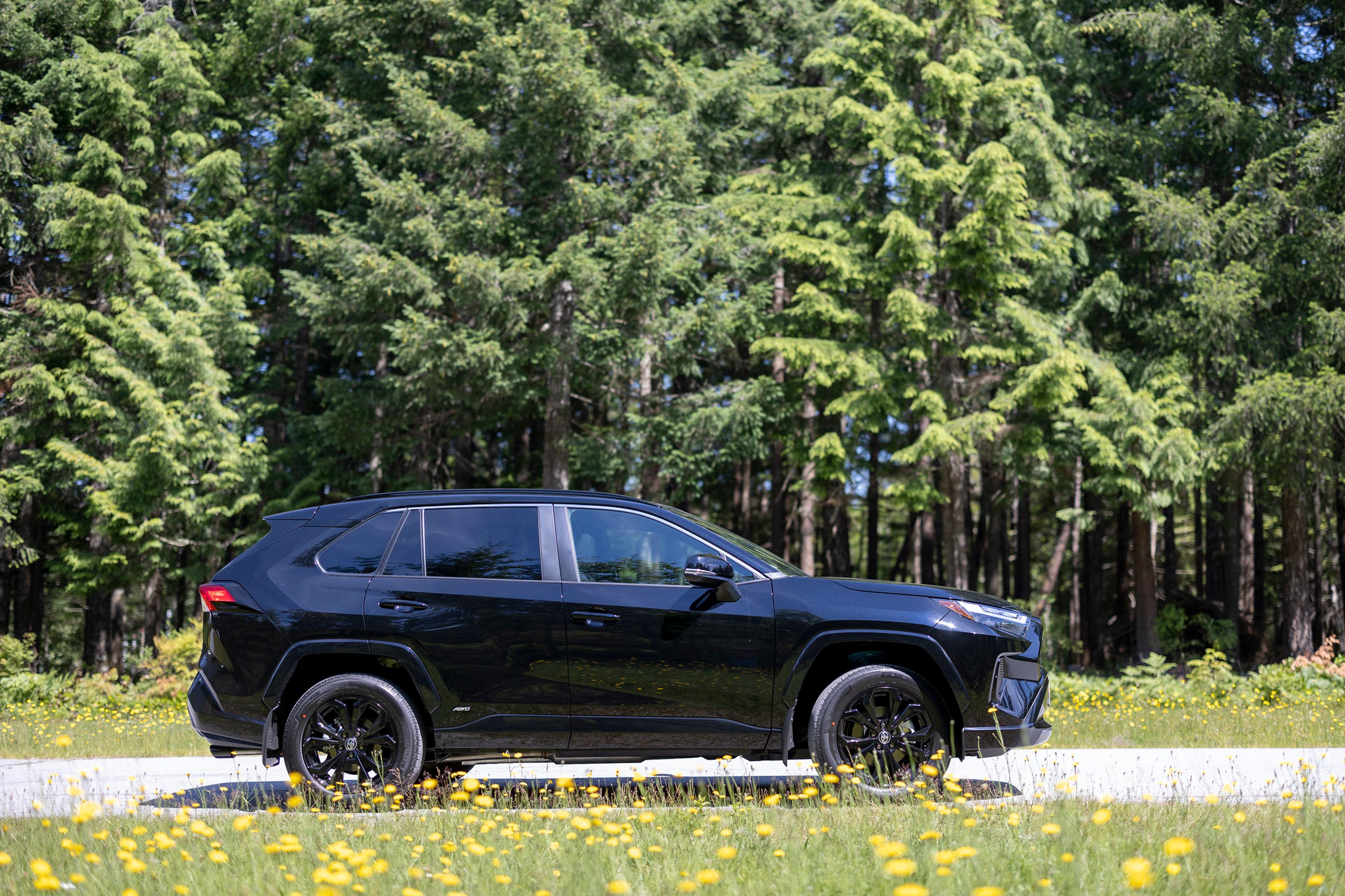 Un Toyota RAV4 Hybrid negru lângă pădure