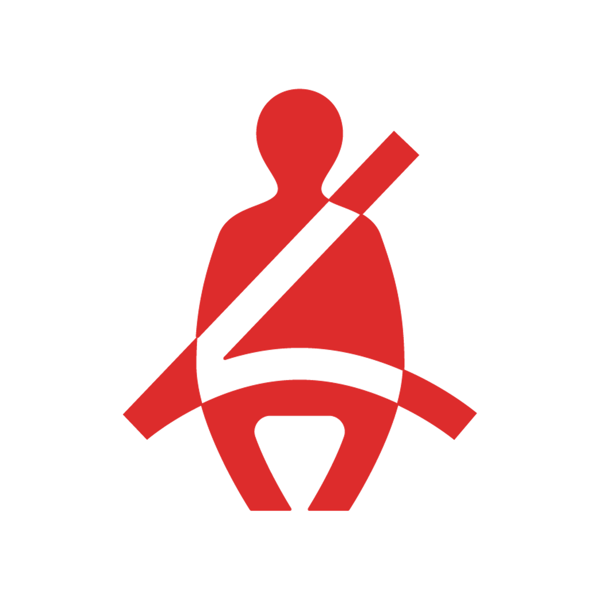 Seatbelt indicator light