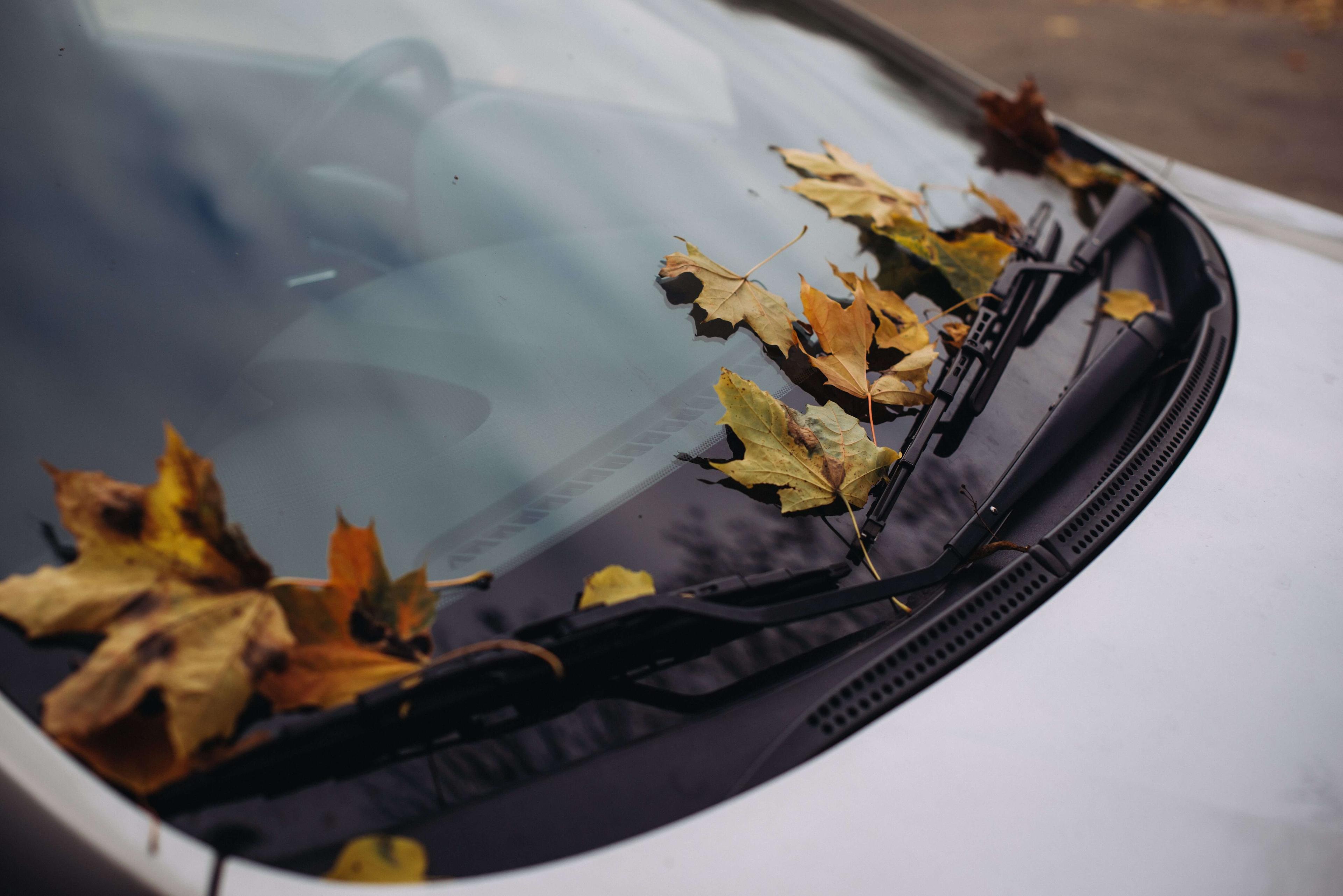 dirty windshield