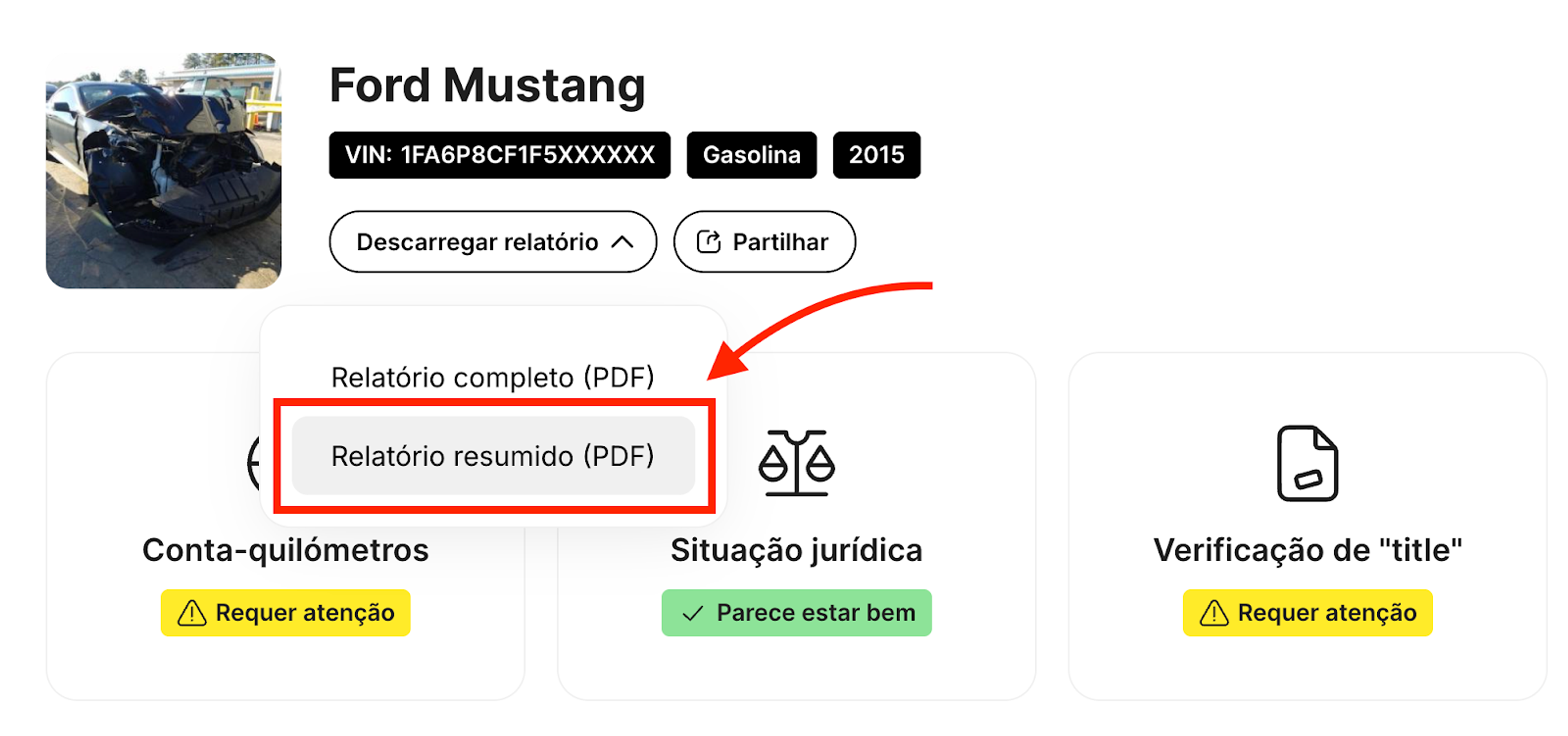 Como descarregar o relatório resumido em formato PDF