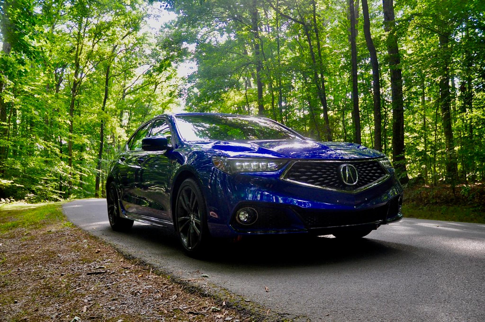 Blue Acura TLX in forest