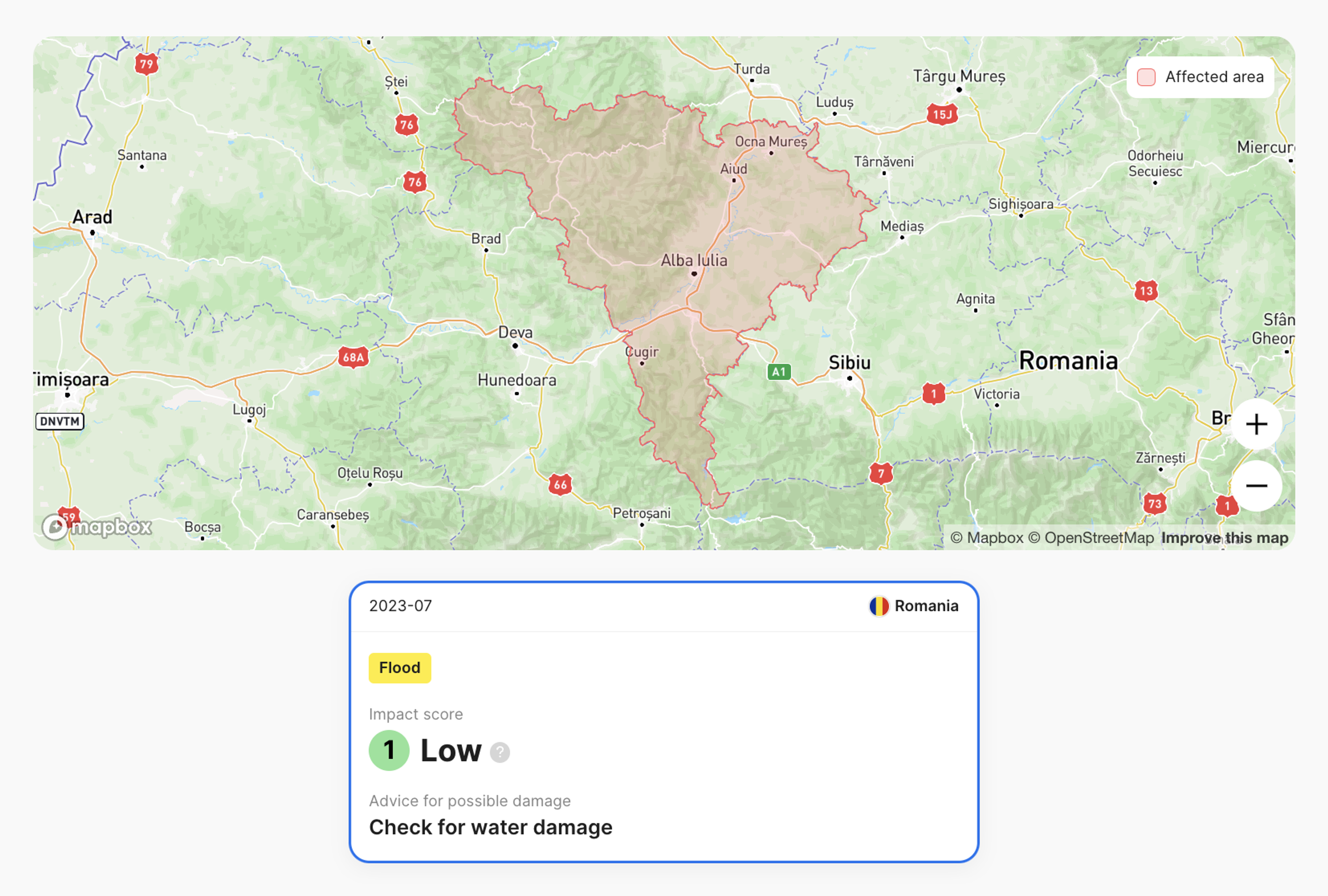 flood damage detected in carVertical report