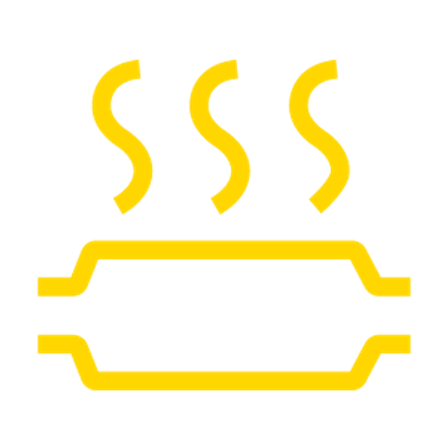 Catalytic converter warning light