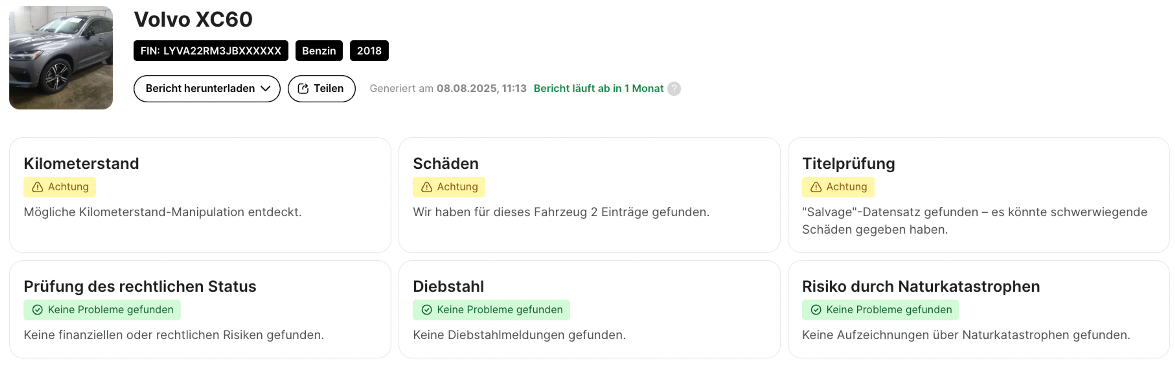 carVertical-Musterbericht
