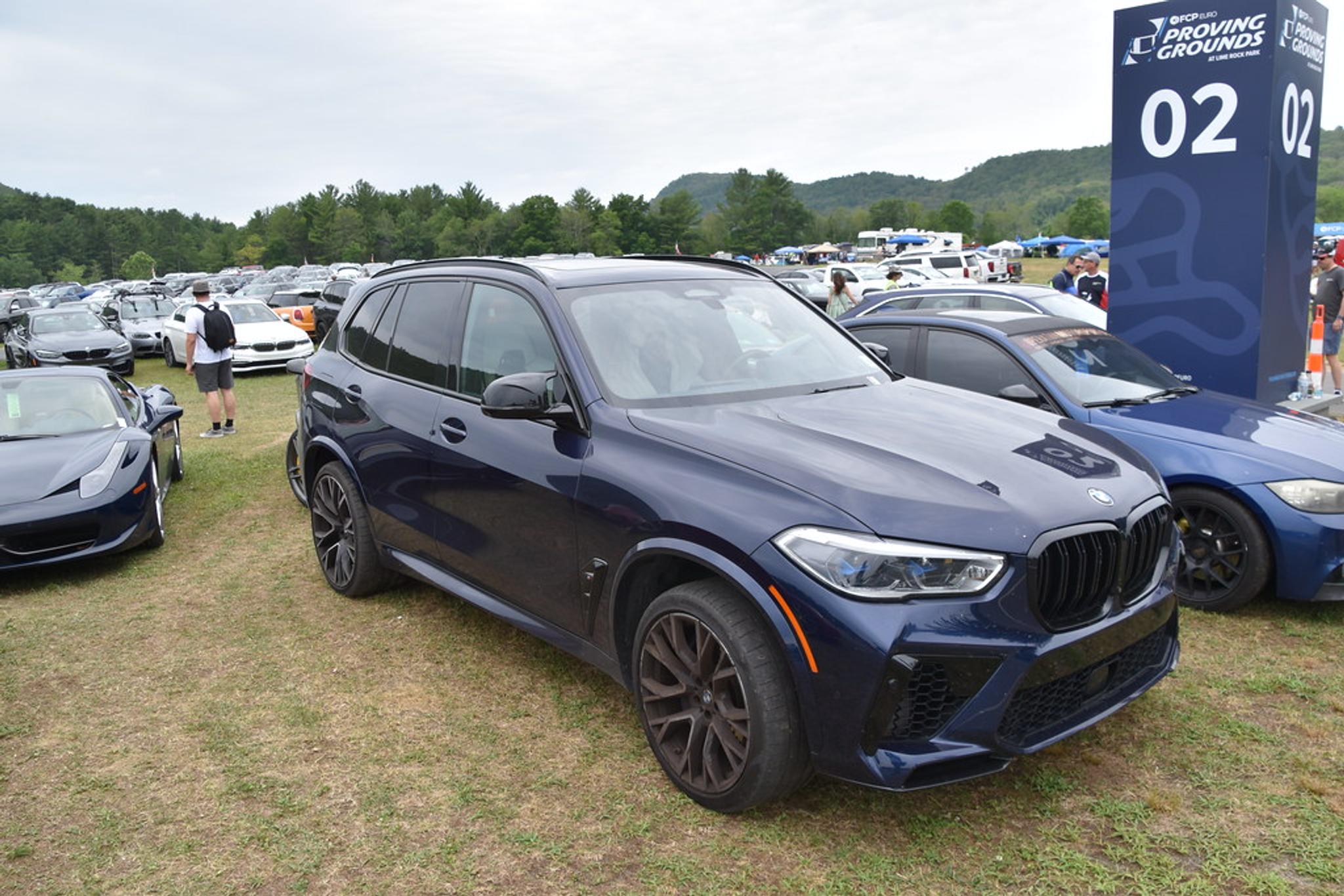 Dark blue BMW X5 on grass