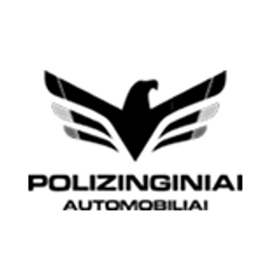 Polizinginiai auto