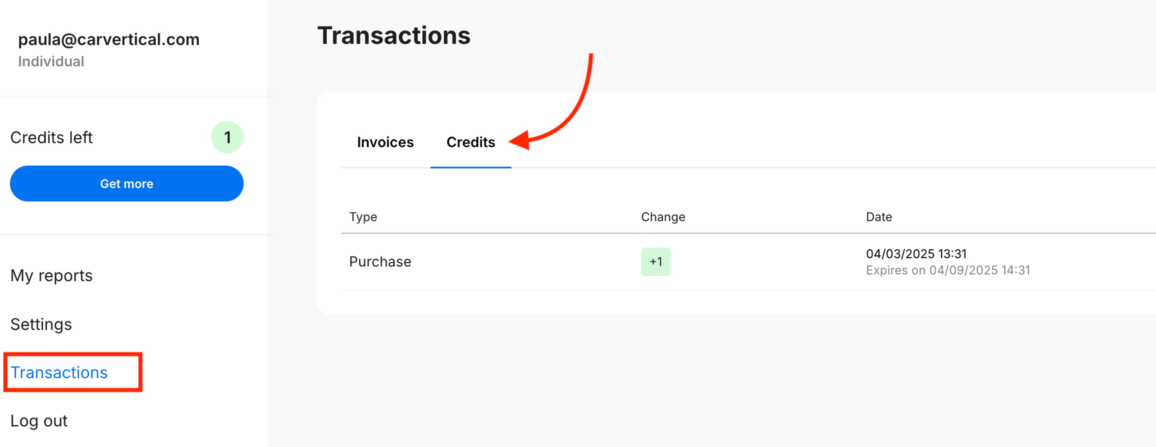 available credits on carVertical account