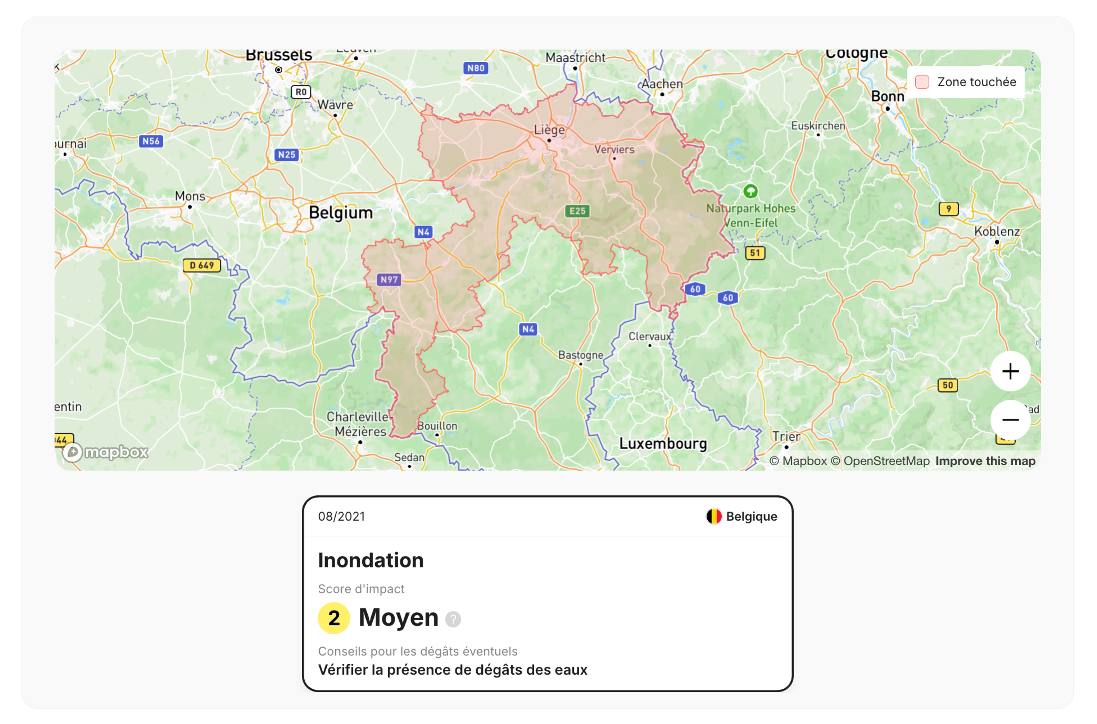 Alerte Catastrophe naturelle (inondation) affichée dans un rapport carVertical