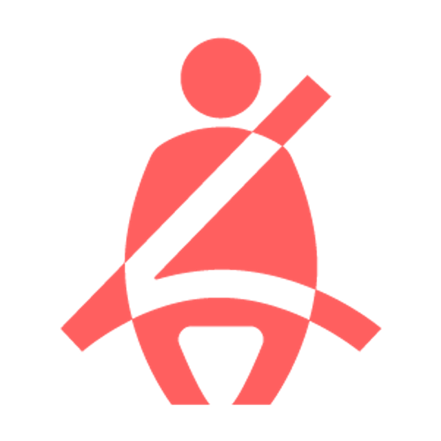 Seatbelt indicator light