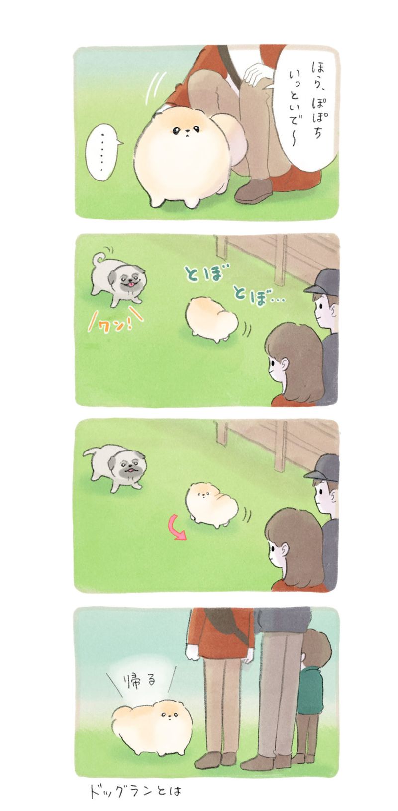 ふわふわポメのぽぽち 第24話 2ページ目