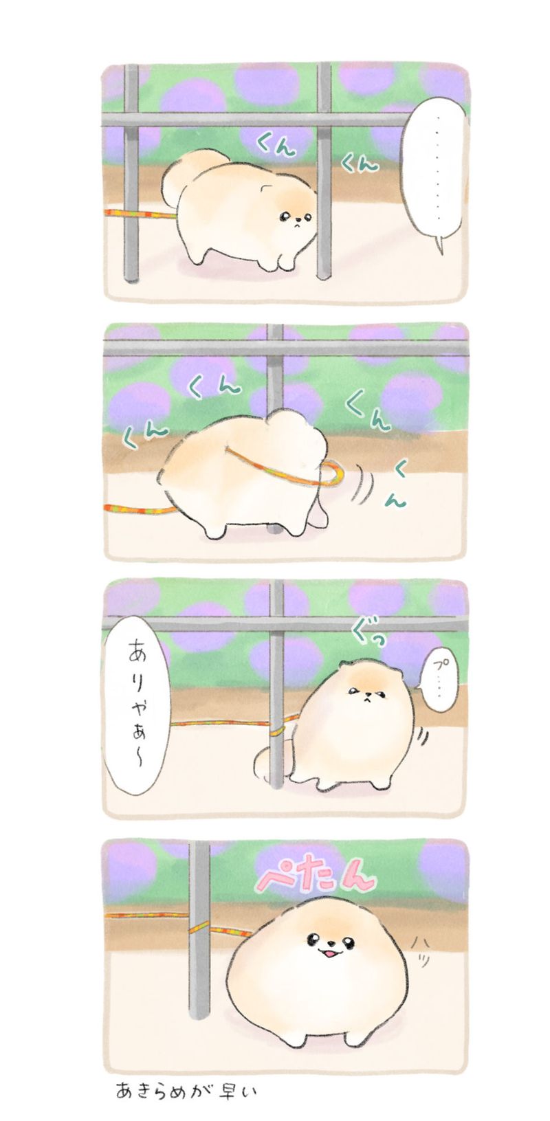 ふわふわポメのぽぽち 第22話 2ページ目