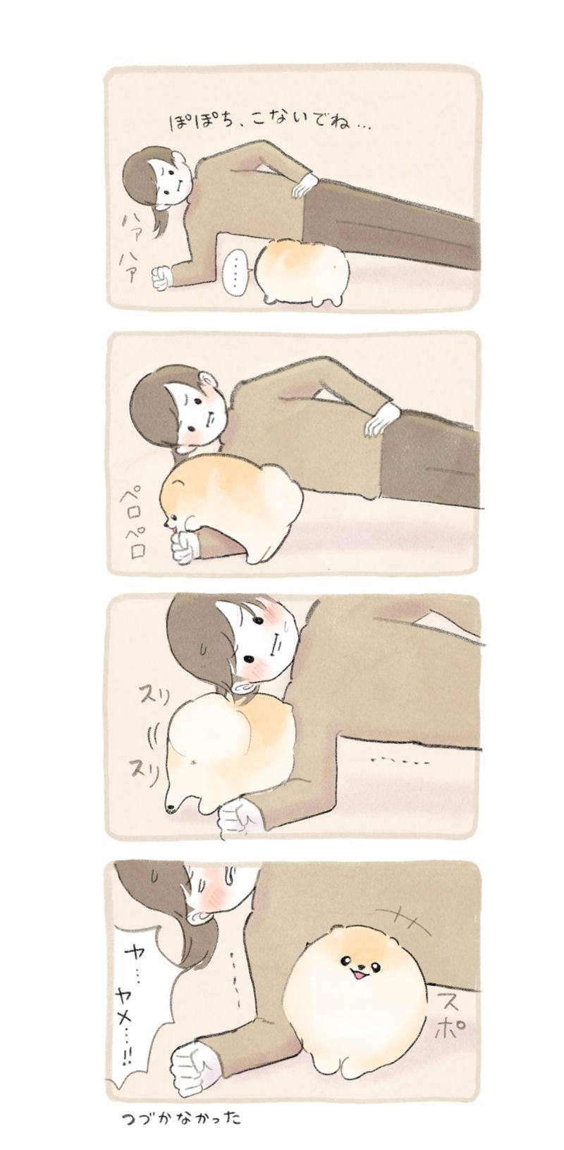 ふわふわポメのぽぽち 第9話 3ページ目