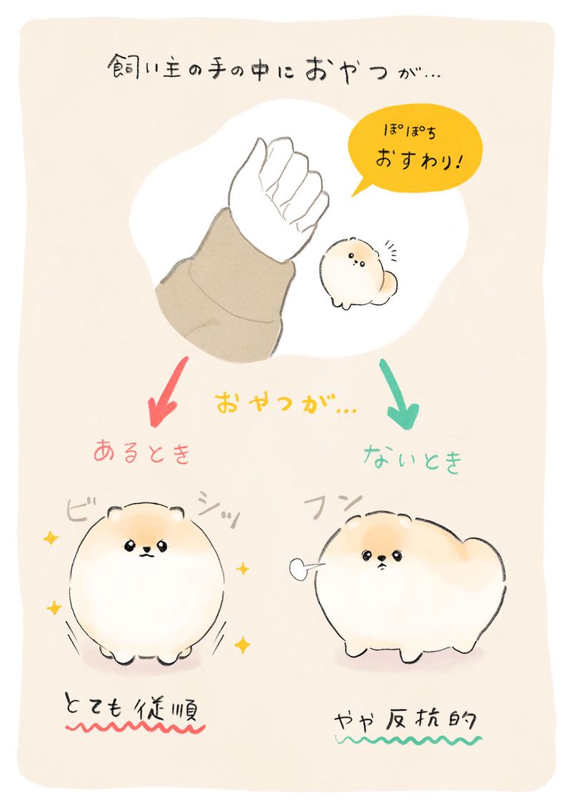 ふわふわポメのぽぽち 第9話 4ページ目