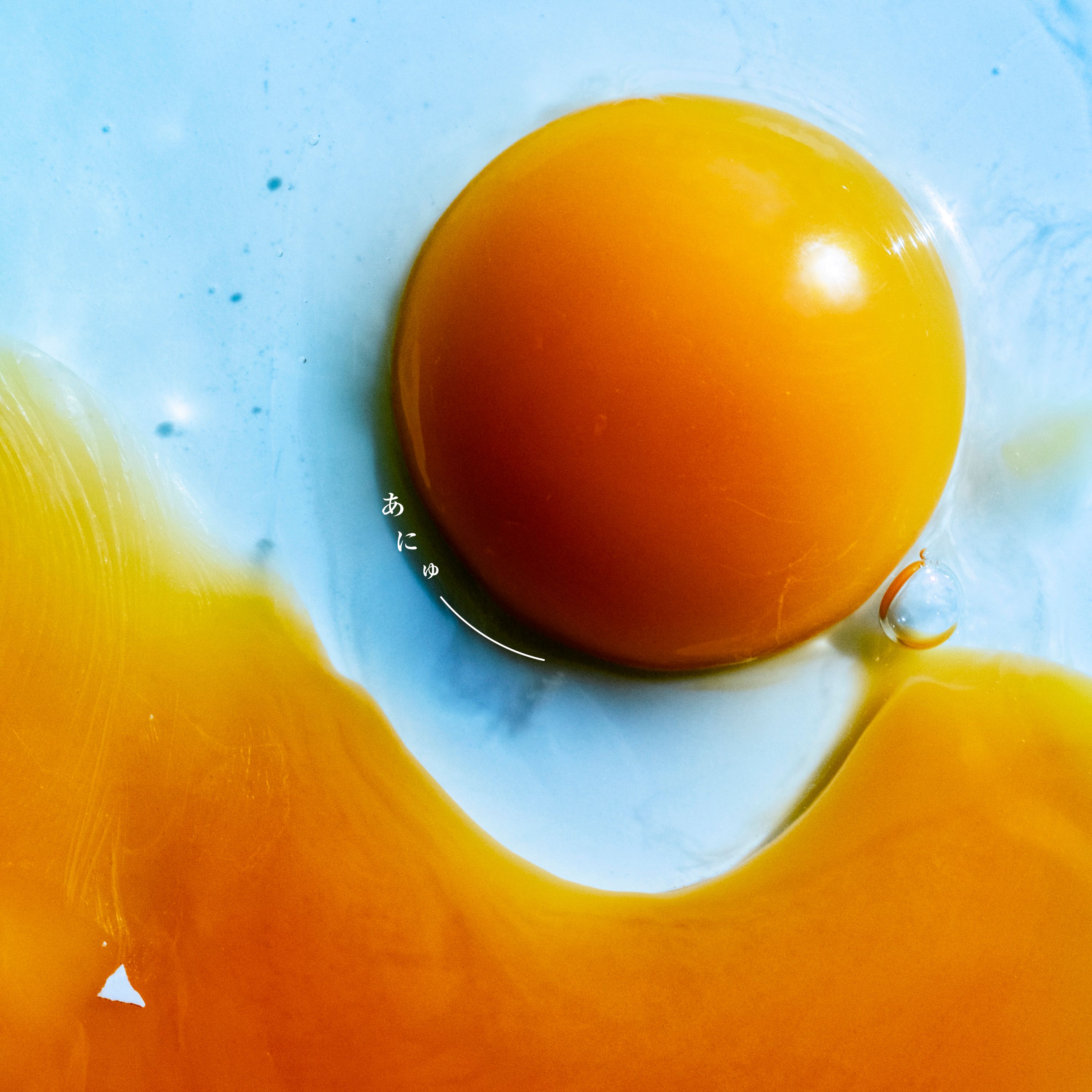 RADWIMPS 20th Anniversary あにゅー グッズ　缶バッジ あにゅー」 RADWINPS | Shogo Tominaga | 富永省吾