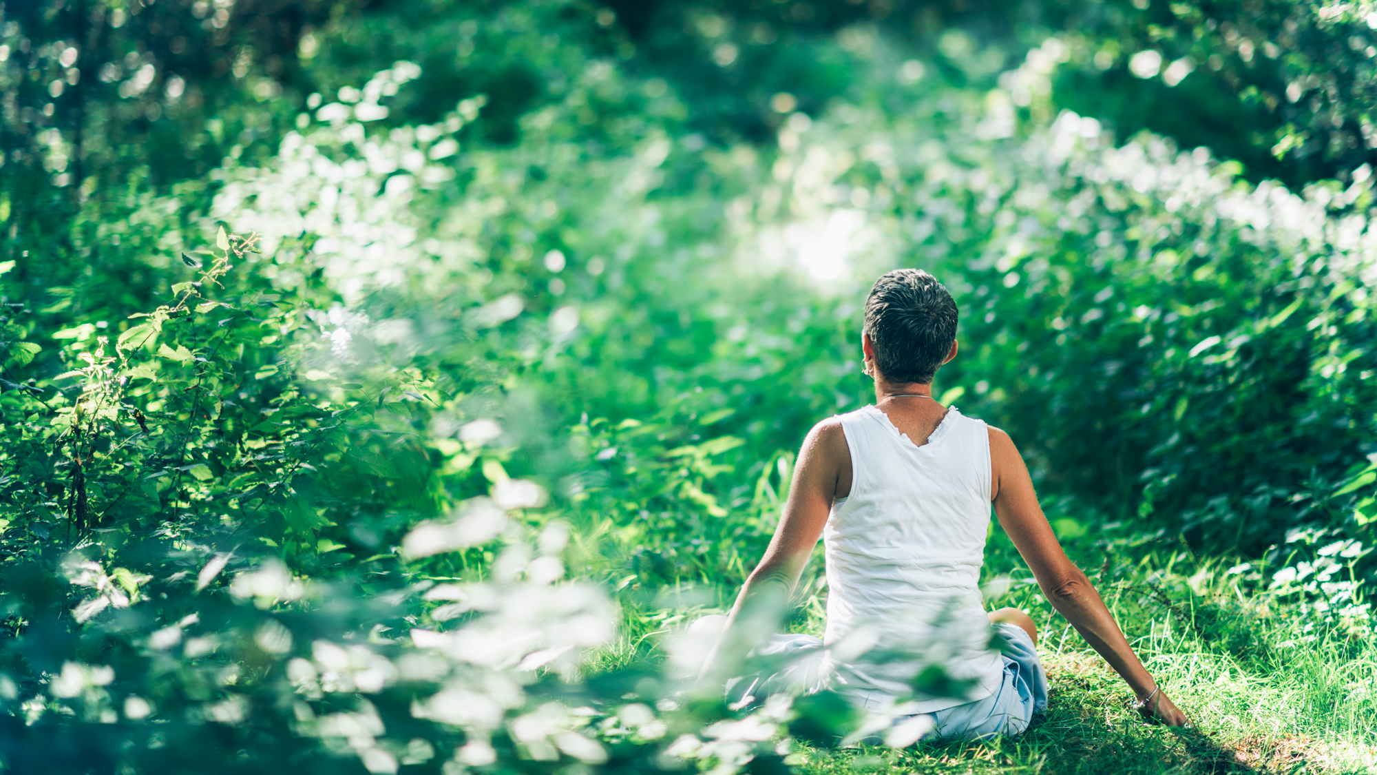 Compasion with our world metta meditation