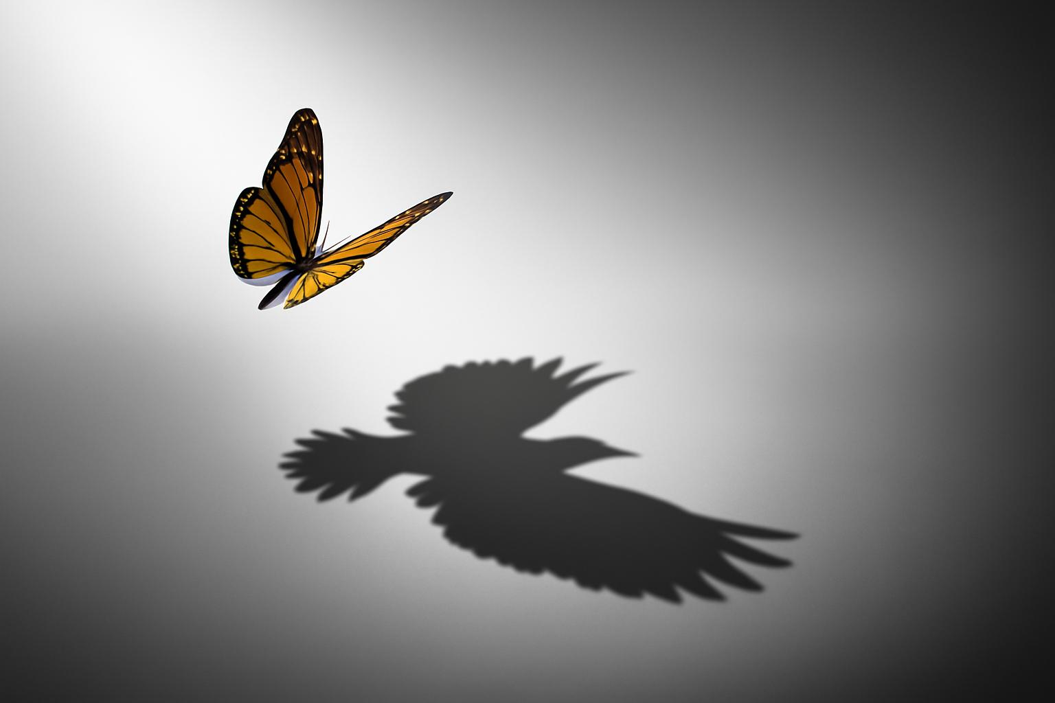 The invisible side of daring to do more