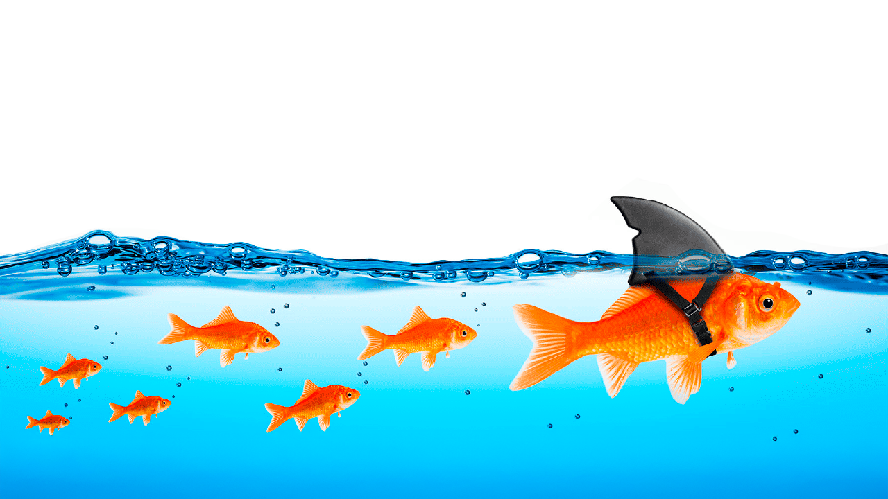 Adapt, don’t control: The new leadership muscle