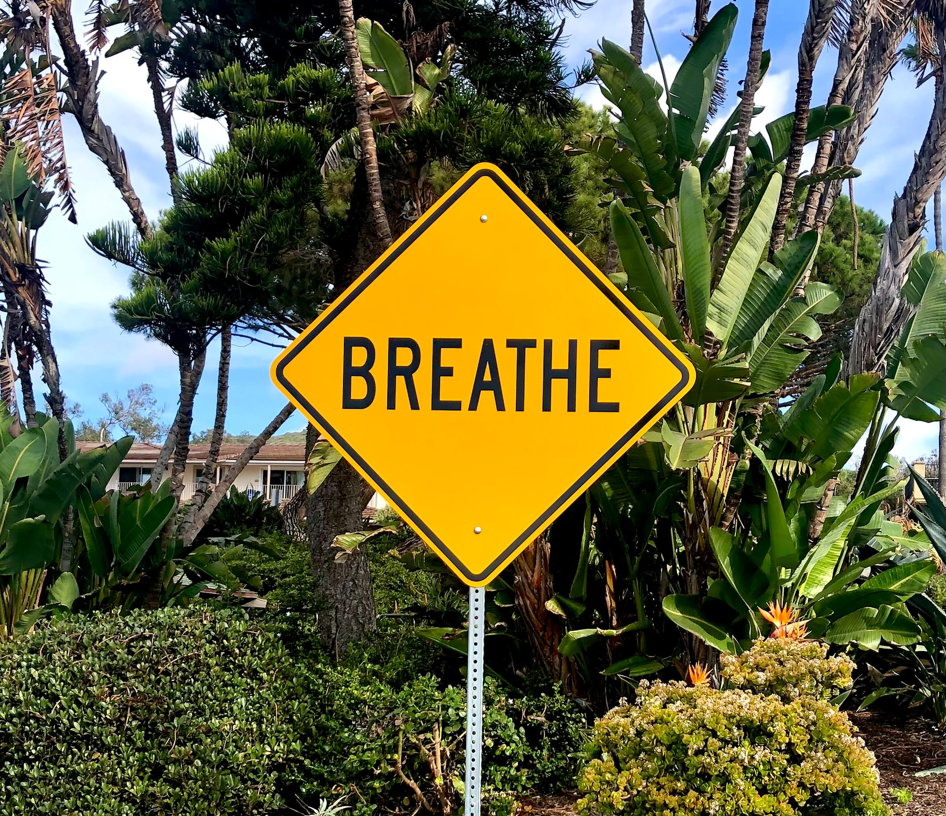 Breath and concentrate for a long period of time