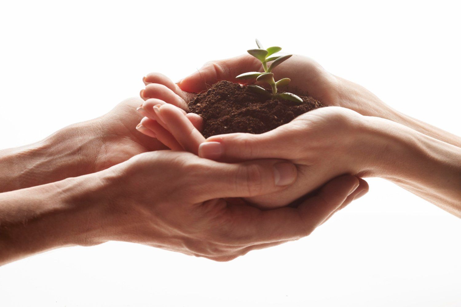 Letting go and grow your happiness