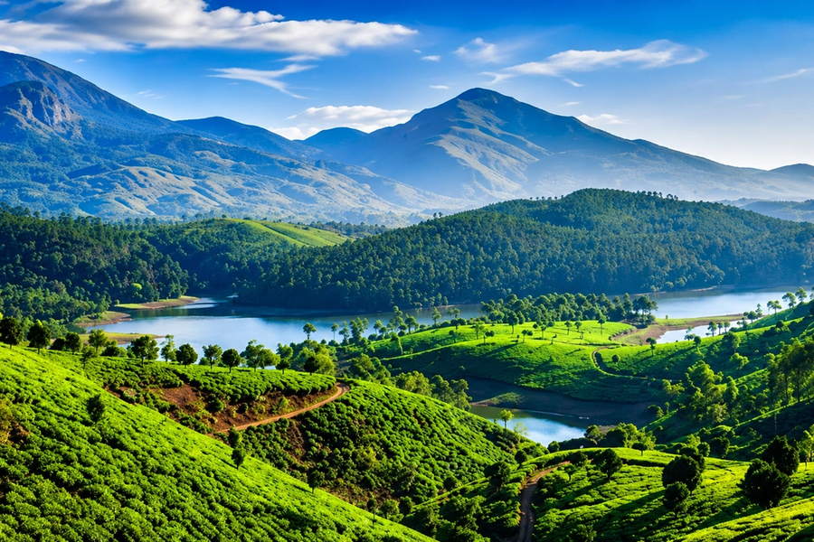 Letchmi Hills Trekking / Day Trek / Munnar Trekking / Tea Plantion Walk / 4 Hours Trekking Munnar  — thumbnail 2