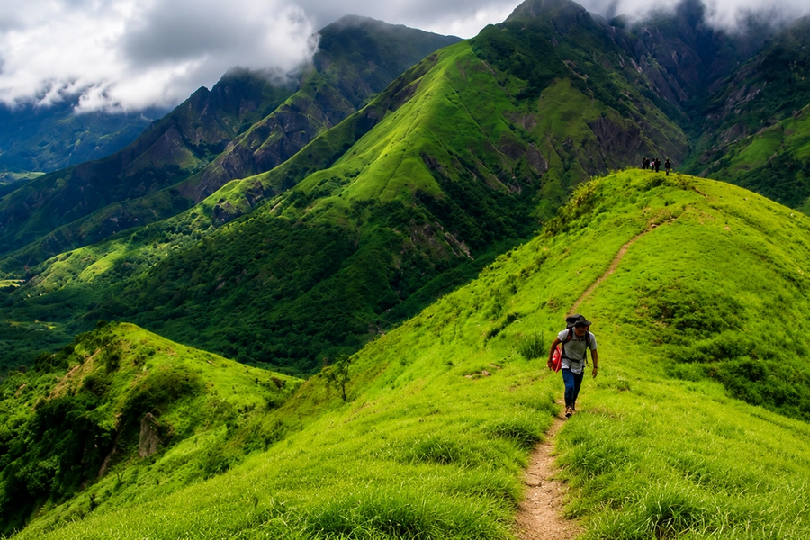 Letchmi Hills Trekking / Day Trek / Munnar Trekking / Tea Plantion Walk / 4 Hours Trekking Munnar  — thumbnail 3