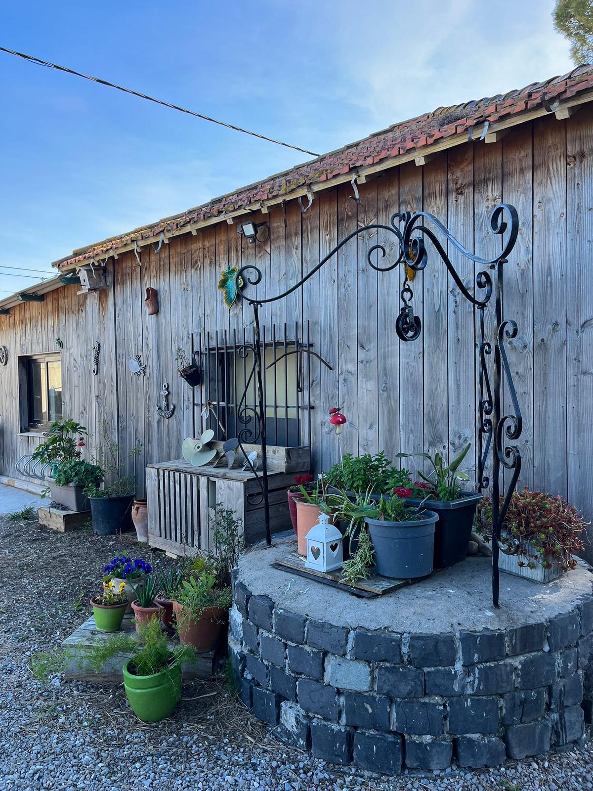 Le mas de L'Instant Thau : façade en bois, plantes en pot et puits de pierre