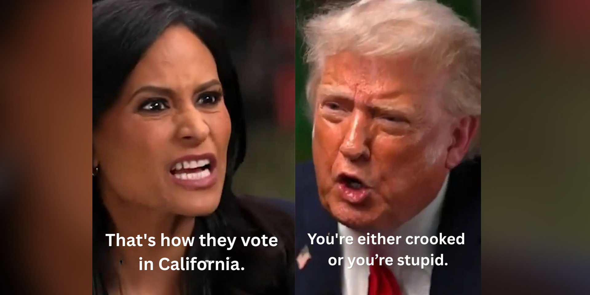 Trump walks out of NBC interview after Kristen Welker denies election fraud in California and 2020 elections: 'You're either crooked or you’re stupid’