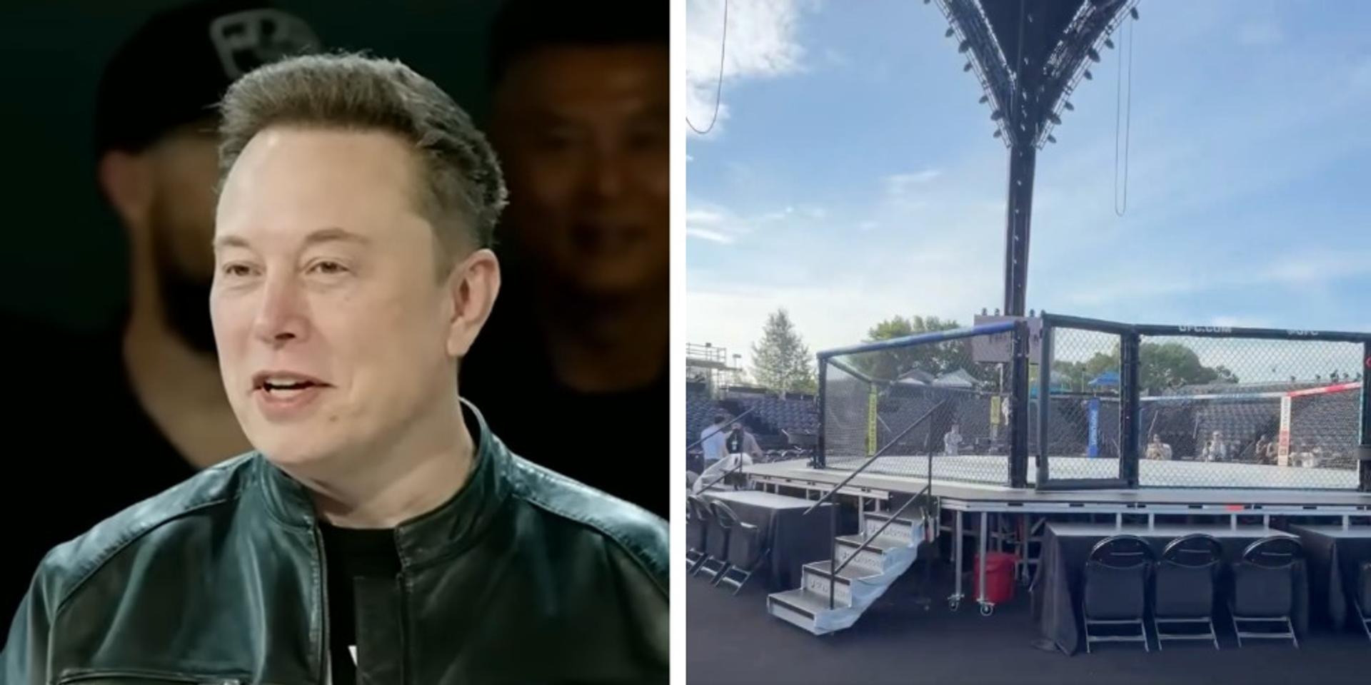 Elon Musk to attend UFC Freedom 250 at the White House: report
