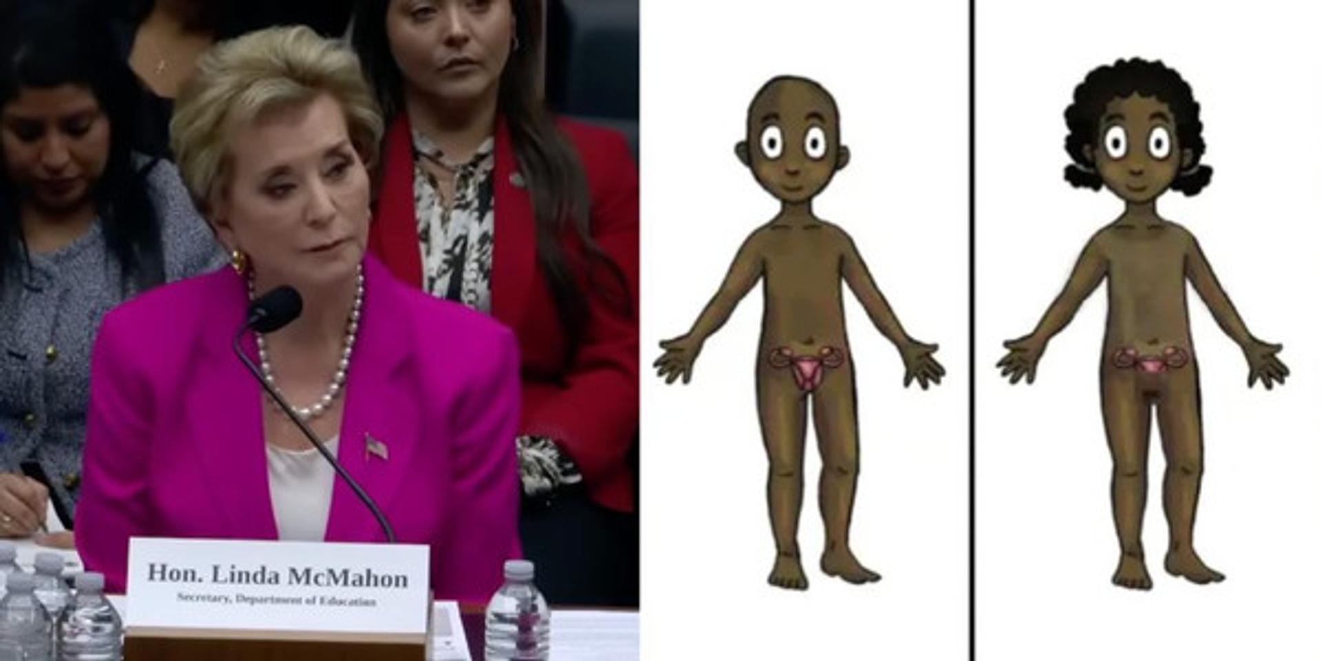 Dept of Education opens investigation into Minnesota over plan to target young children with gender-swapping trans dolls