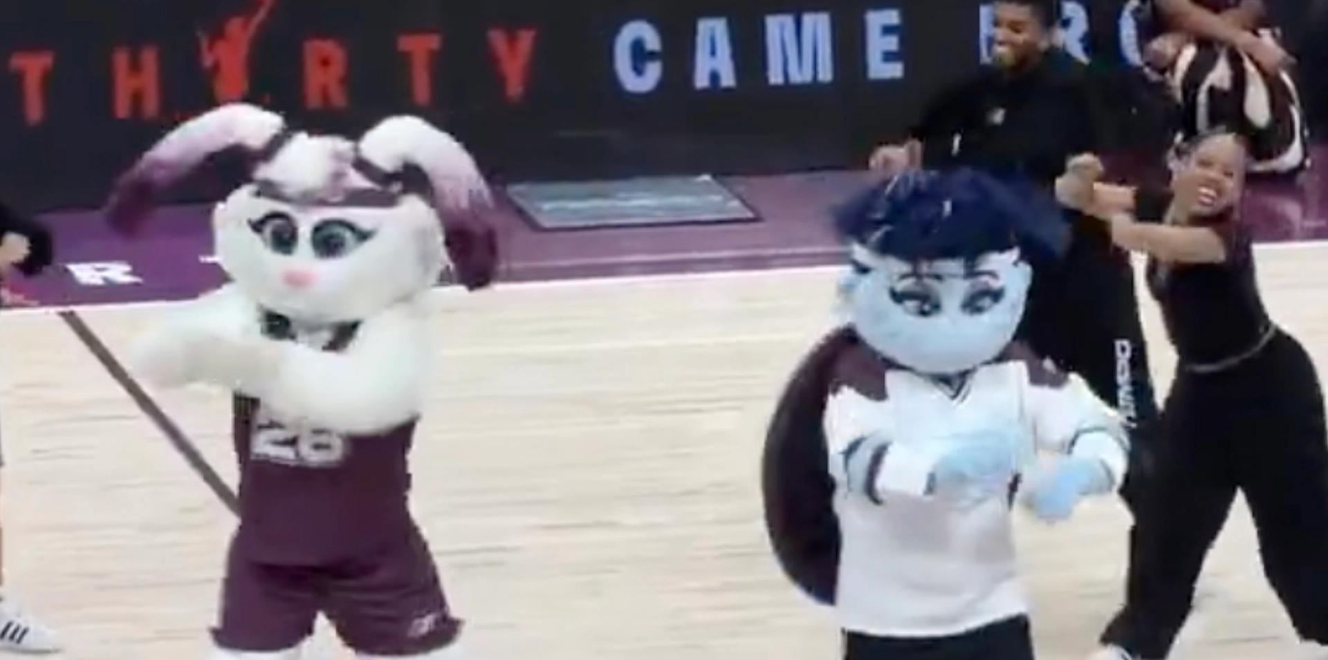 Toronto WNBA team unveils new trans mascot with she/they pronouns amid ongoing PR crisis over male participation