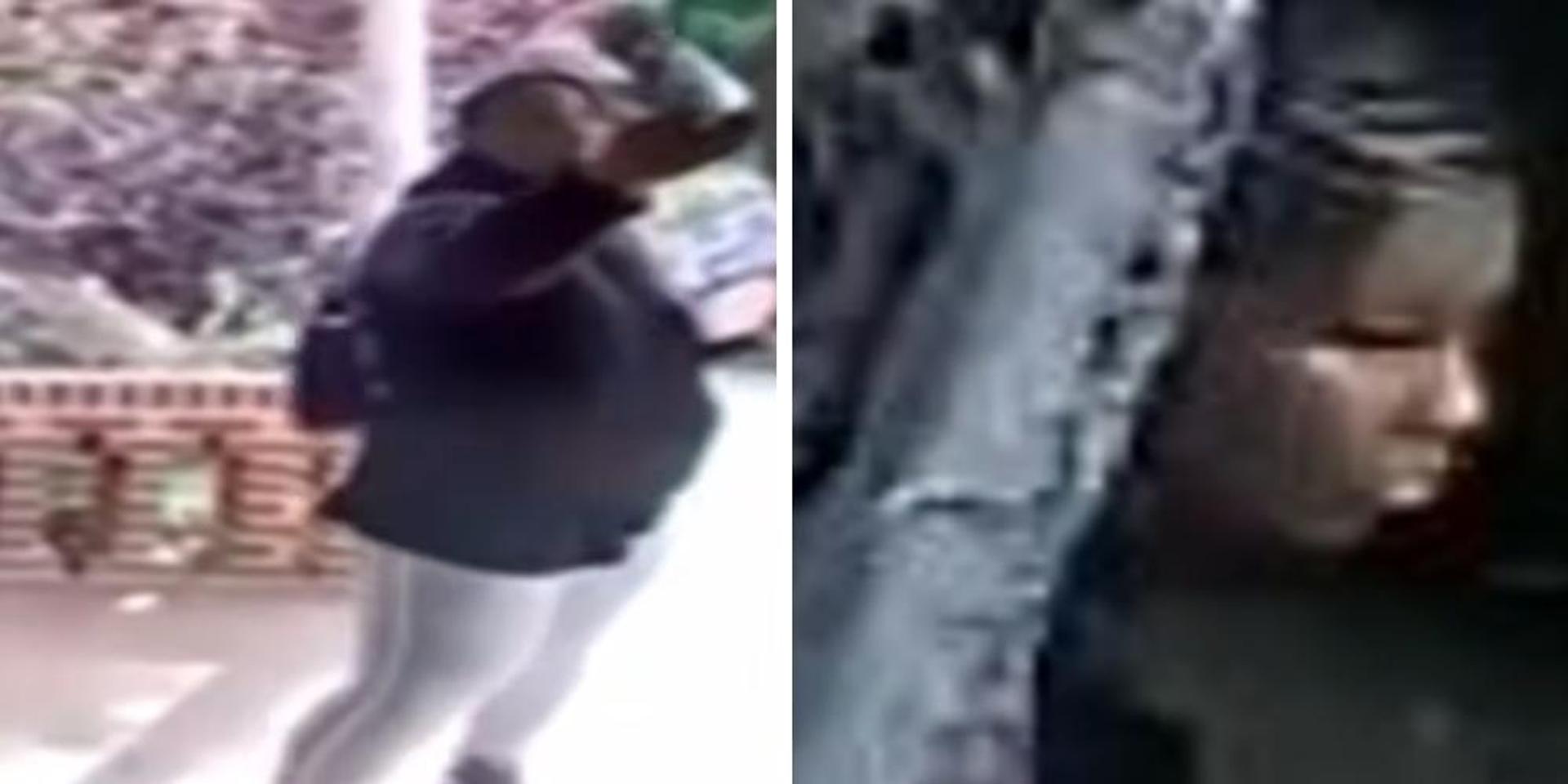 NY Dem committeeman's campaign worker charged for assault of 98-year-old Brooklyn man