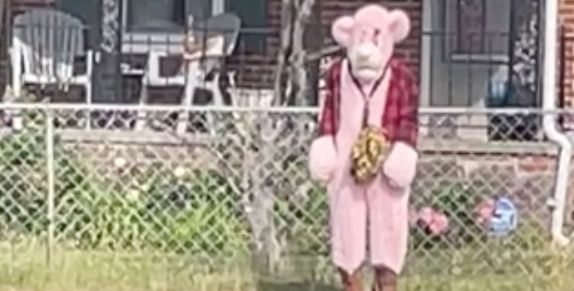 Creep in Pink Panther costume stalked, attempted to abduct Virginia school kids: police