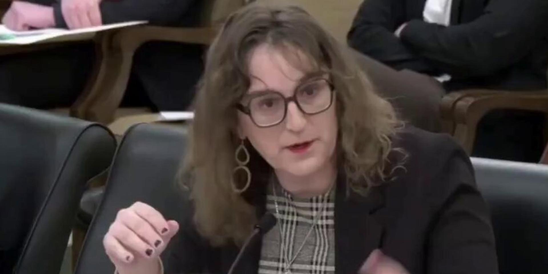 Dem Minnesota trans lawmaker claims 'queer kids' need to access porn for 'education'